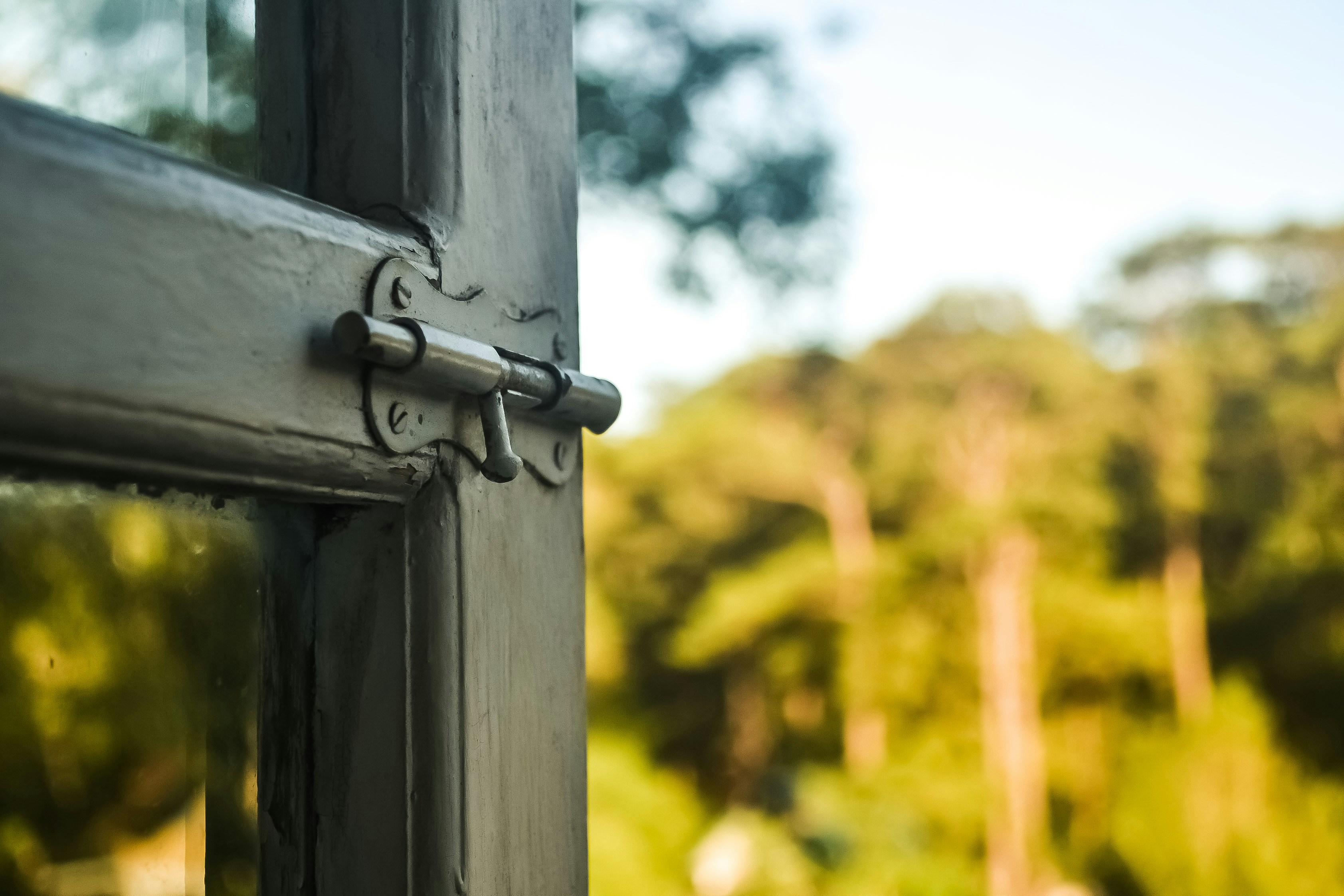 Photo by papsstudios