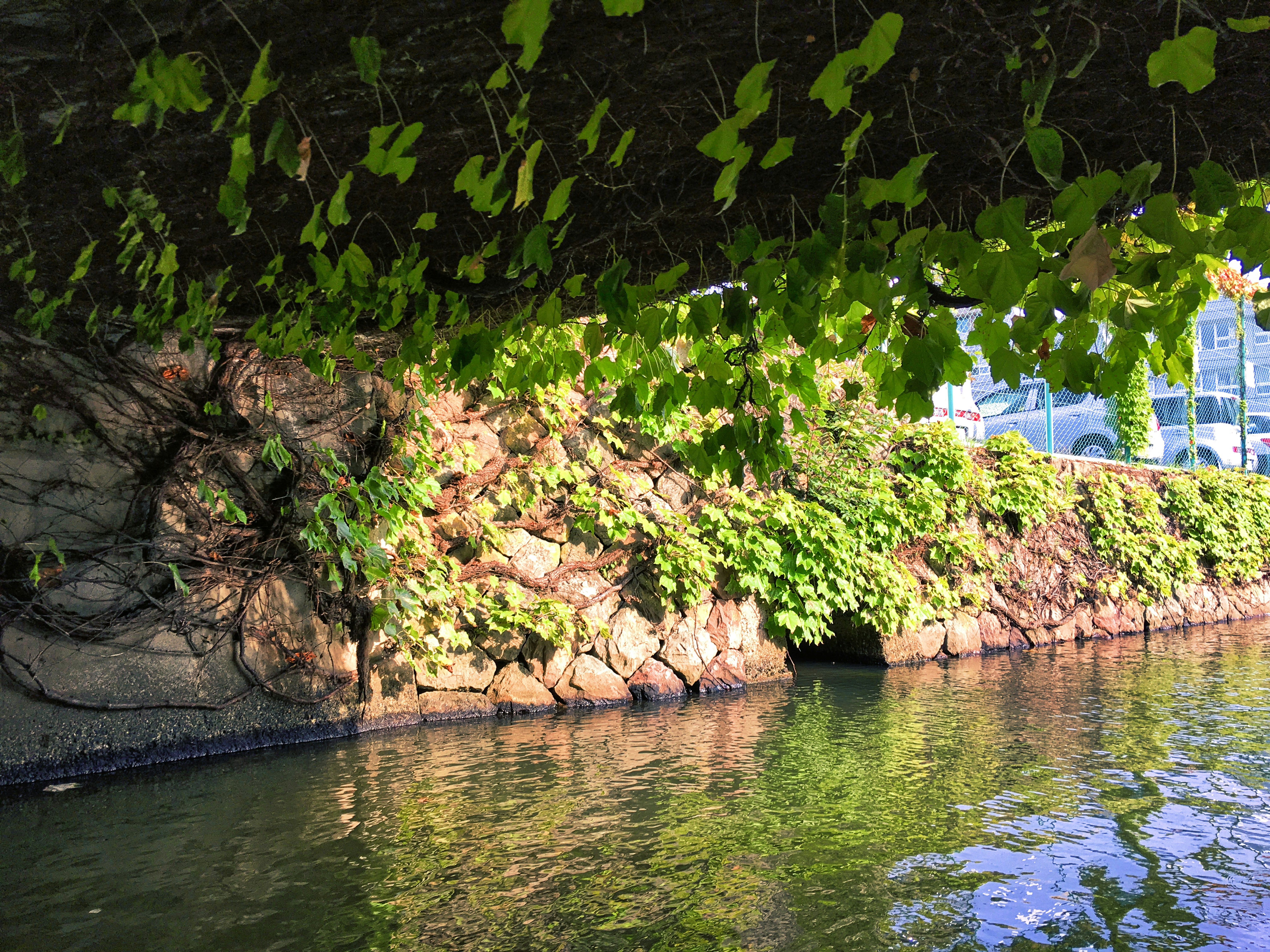 Photo by thomaskinto