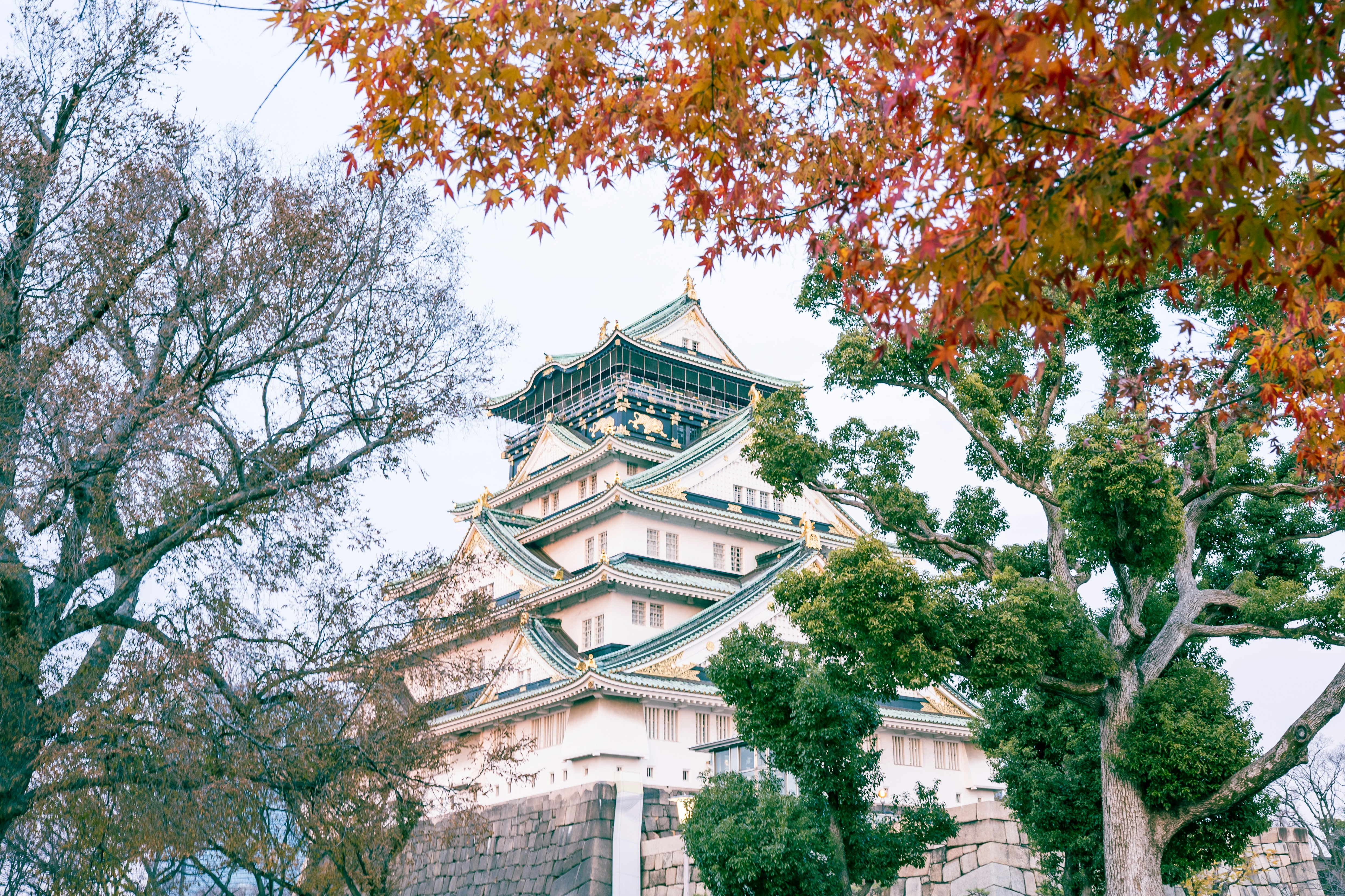 Photo by xyrene_sohtaro