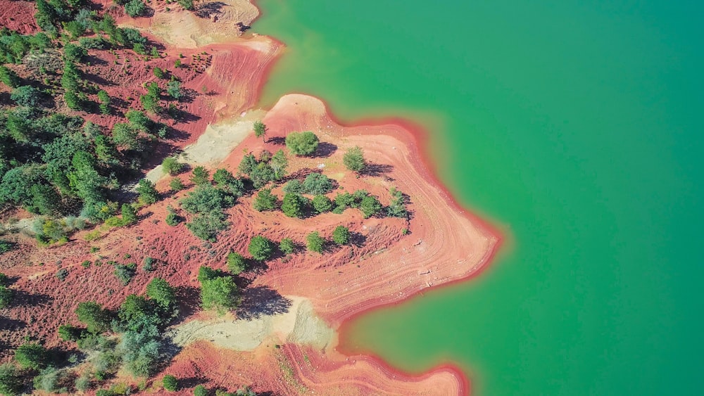 aerial view of green trees and brown land