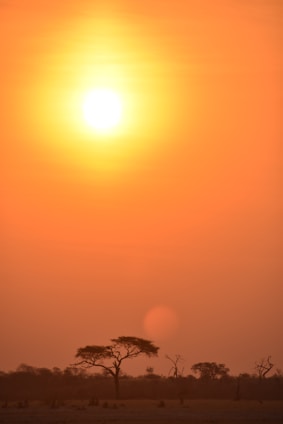 A vibrant sunset over the savannah with a silhouette of a safari jeep and acacia trees.