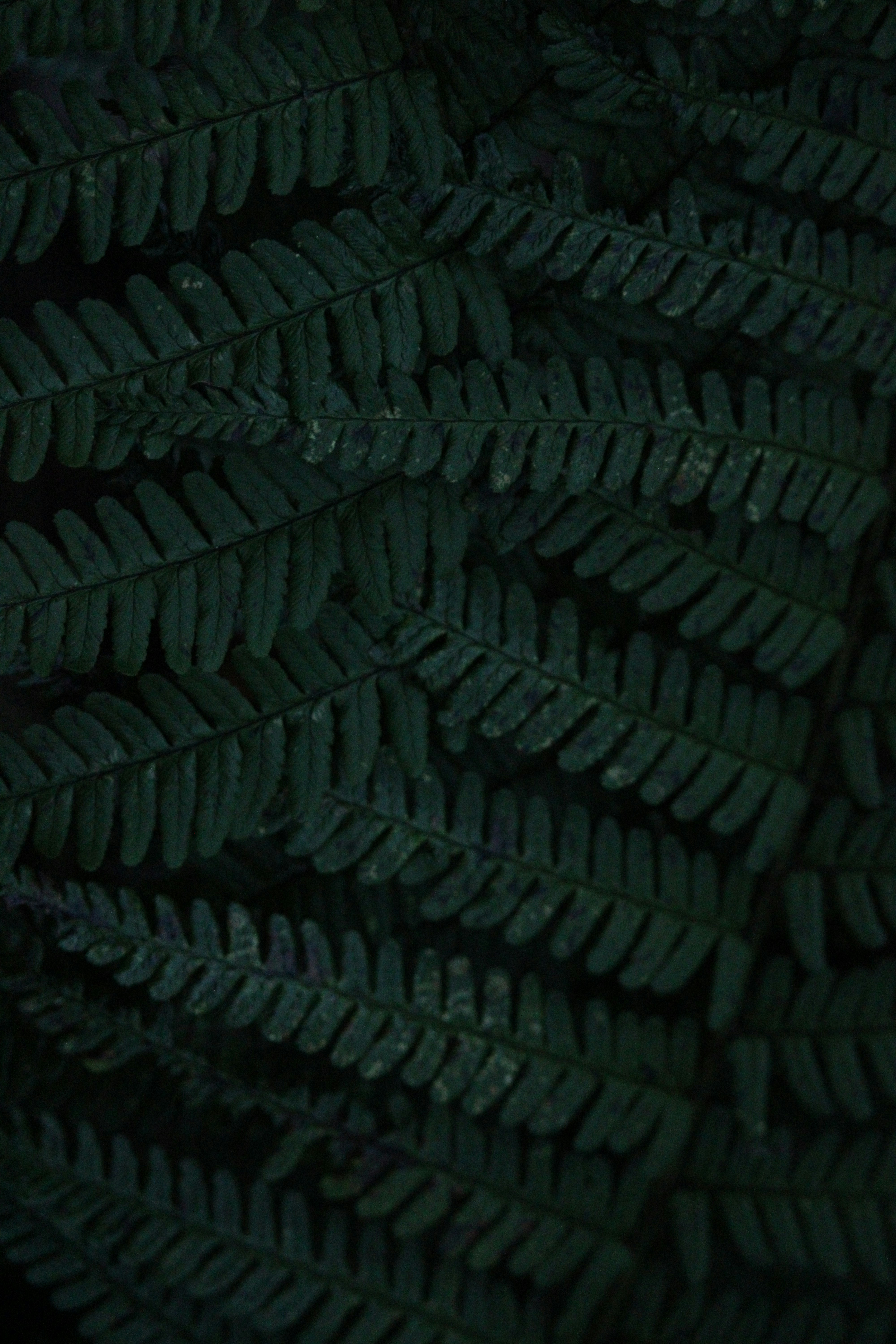 Photo by every_small_step_