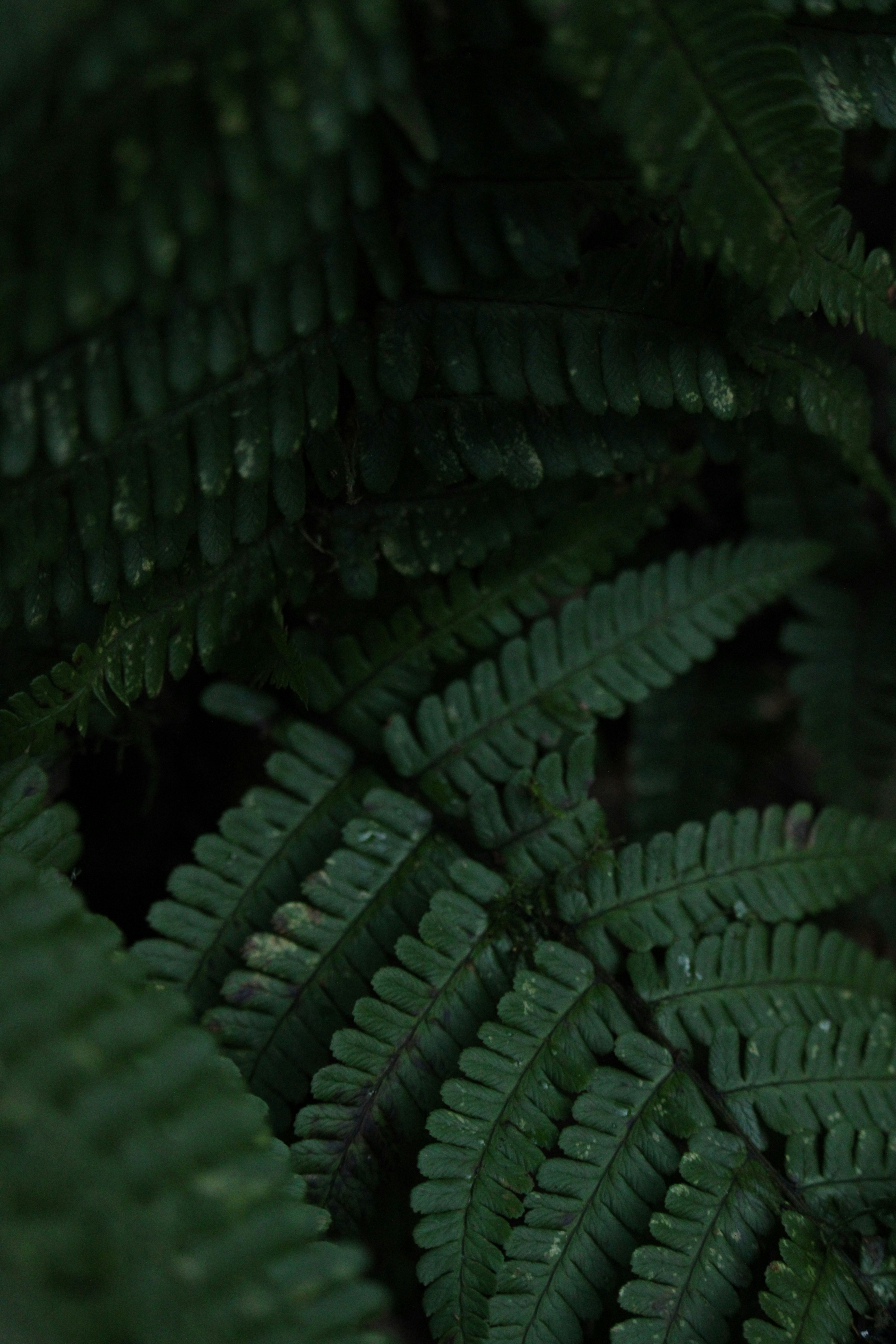 Photo by every_small_step_