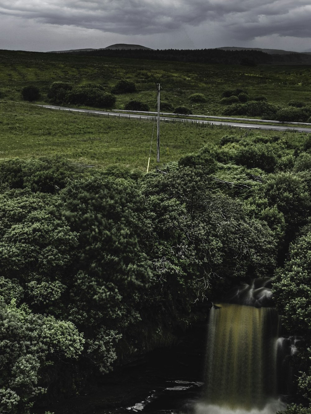 Campo de hierba verde y árboles durante el día