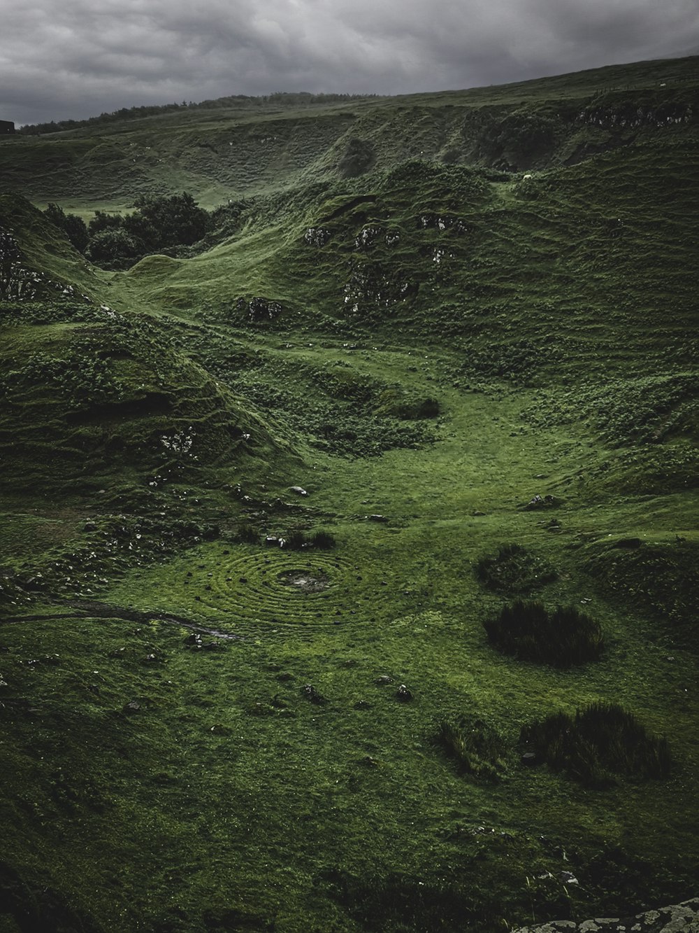 campo di erba verde durante il giorno