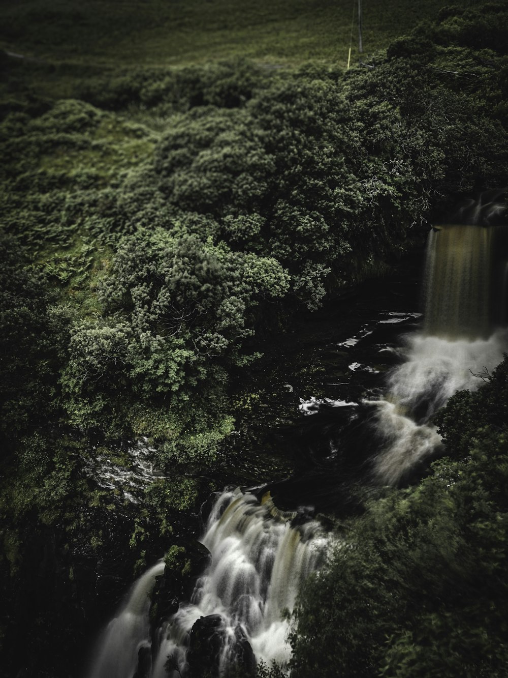 cascadas en medio de árboles verdes