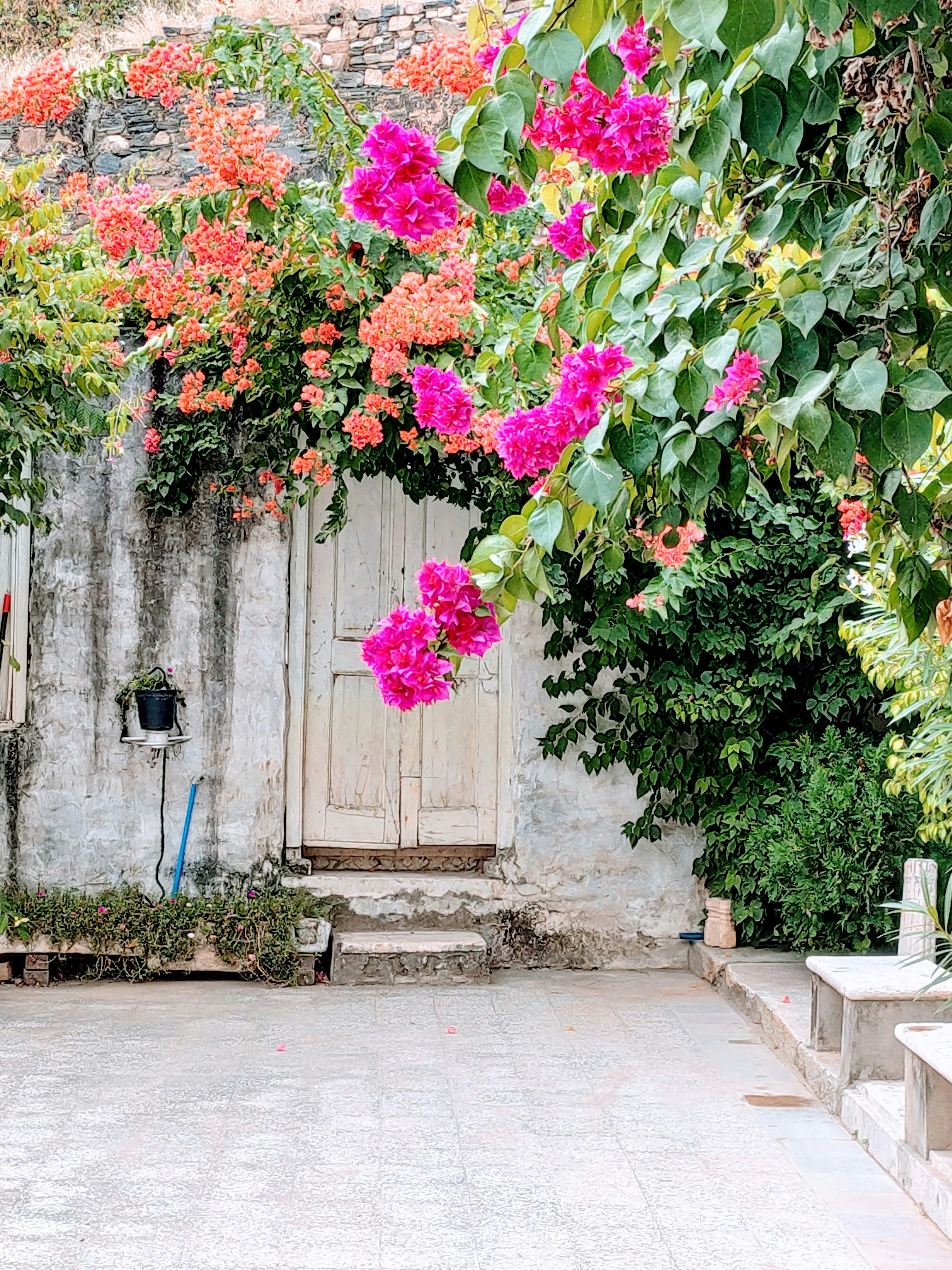 Photo by mukul_palol