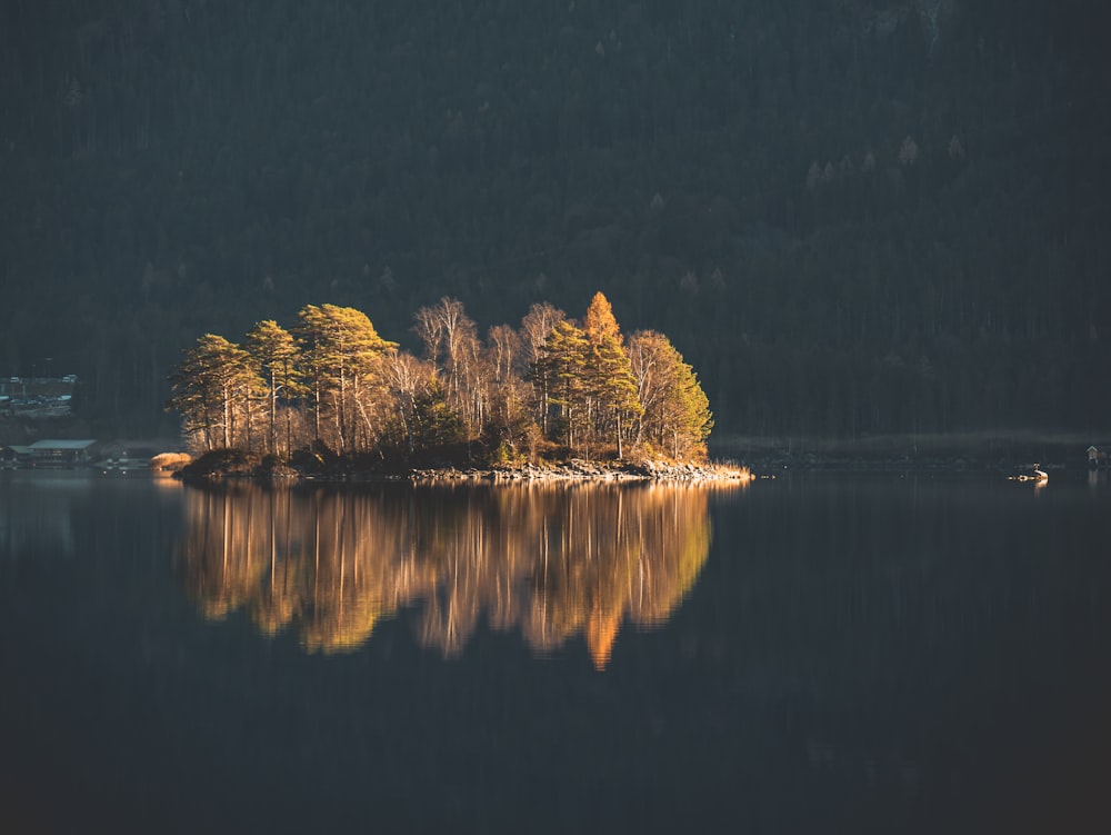 green trees beside body of water during night time