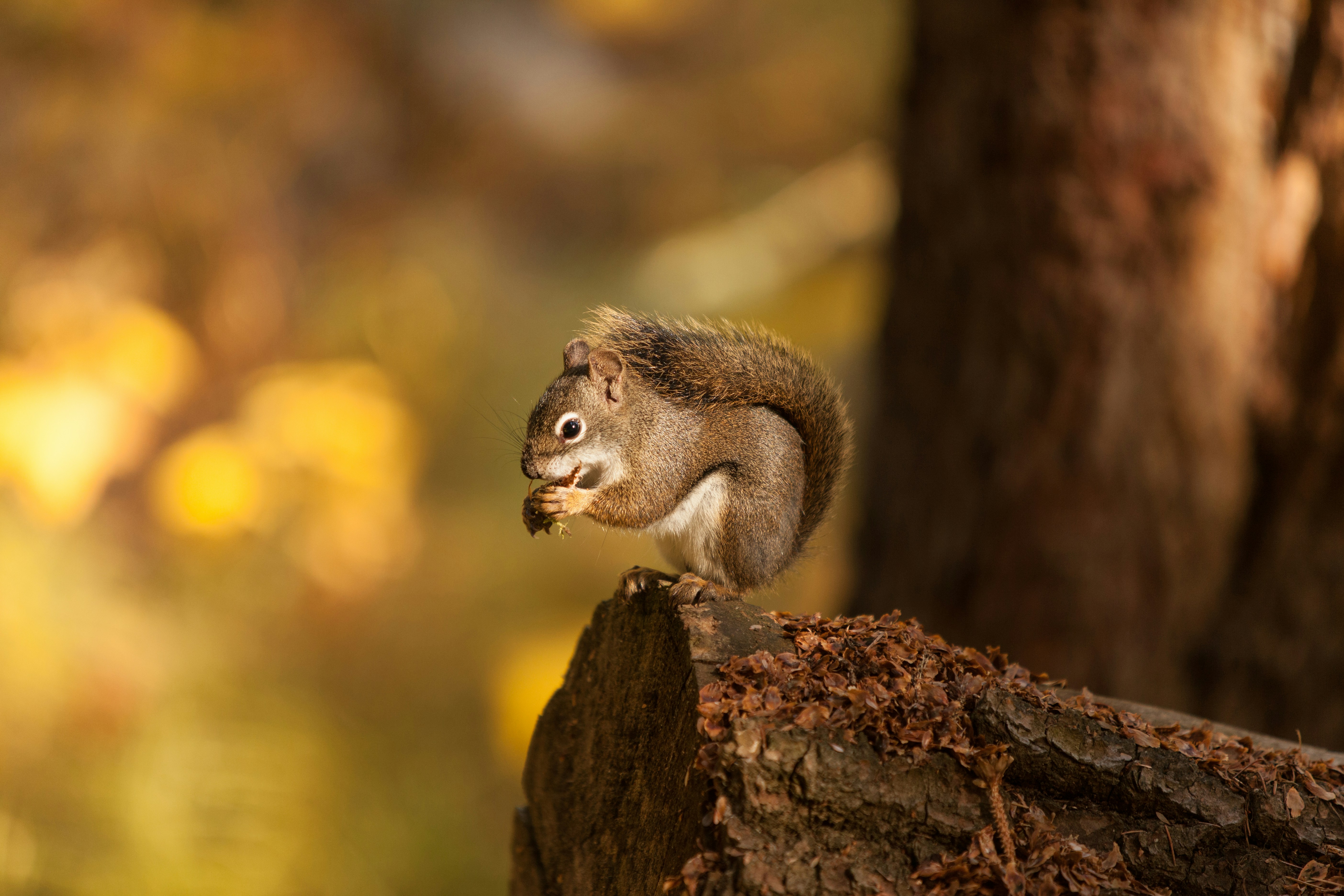 Photo by behindthecamera