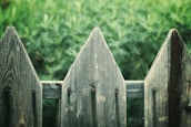 Wooden fence with a rustic texture featuring pointed tops stands against a background of blurred green foliage. The weathered wood displays natural grain patterns and knots.