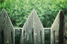 Wooden fence with a rustic texture featuring pointed tops stands against a background of blurred green foliage. The weathered wood displays natural grain patterns and knots.