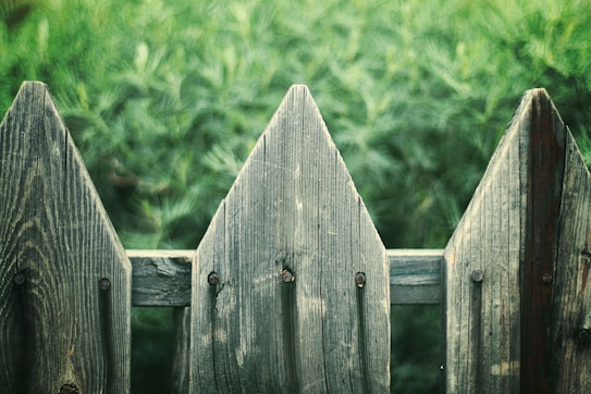 Wooden fence with a rustic texture featuring pointed tops stands against a background of blurred green foliage. The weathered wood displays natural grain patterns and knots.
