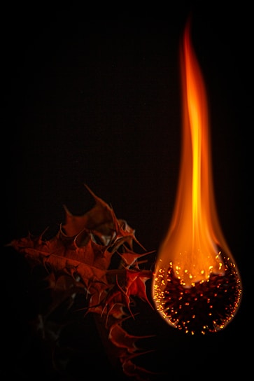 A captivating image representing the essence of the blog's theme.