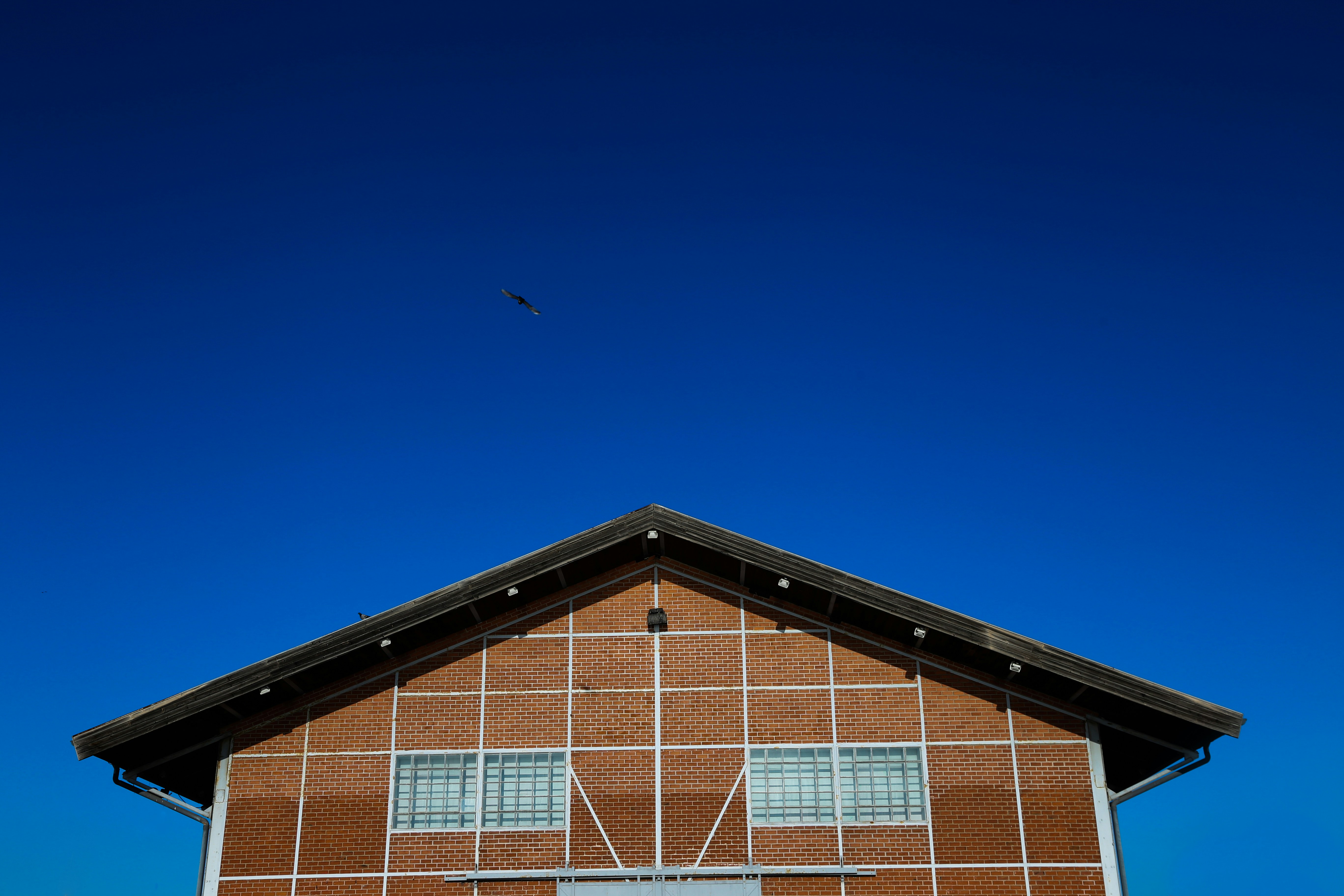 Photo by alikisthemelion