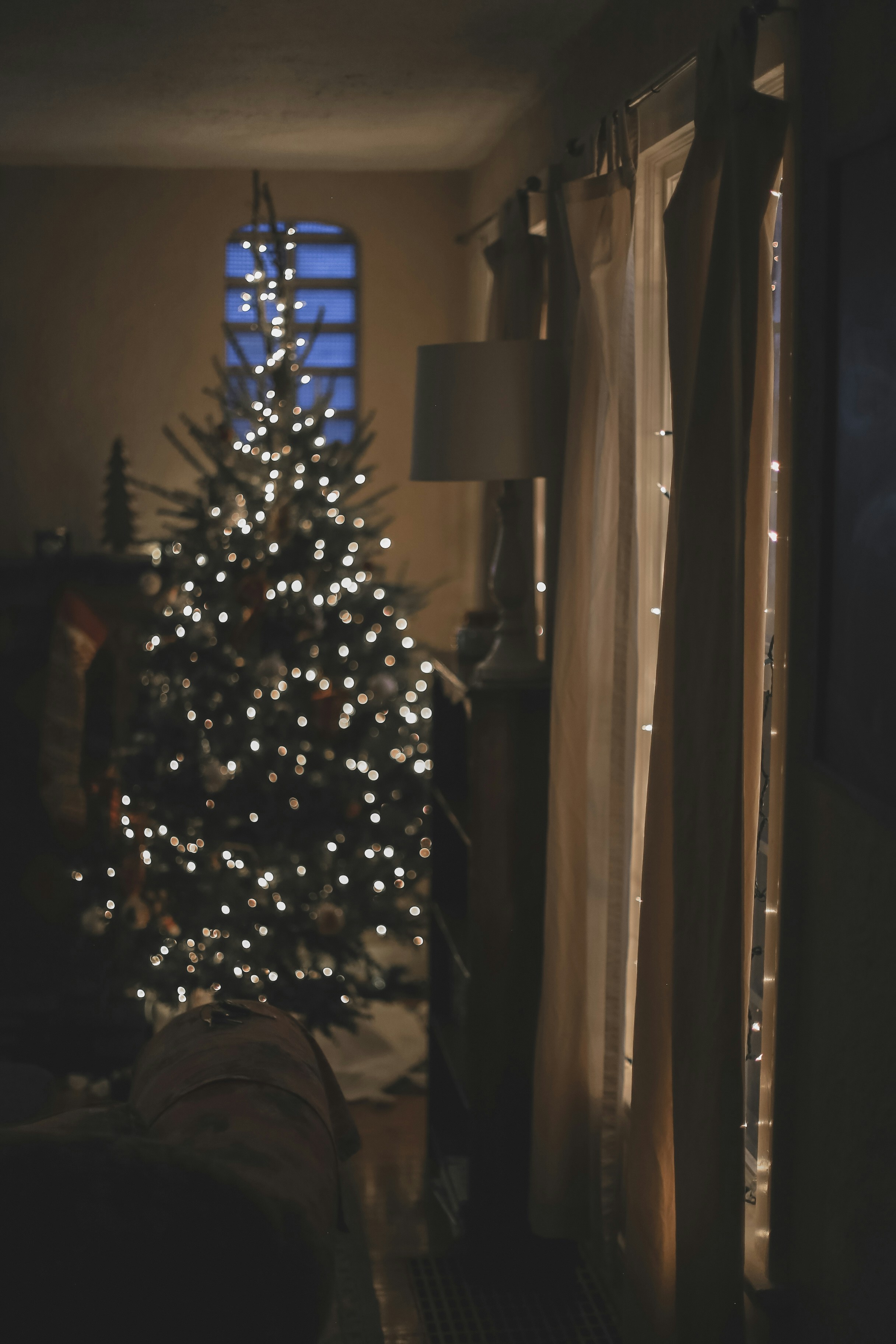 Photo by jessicalfadel