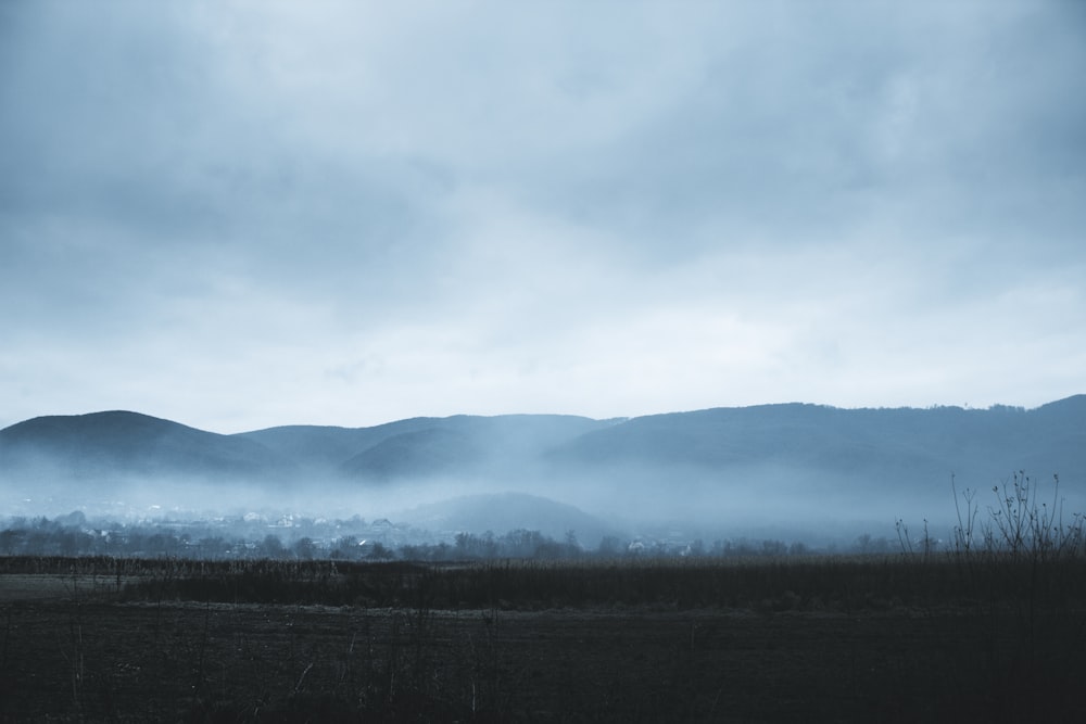 green trees under white clouds