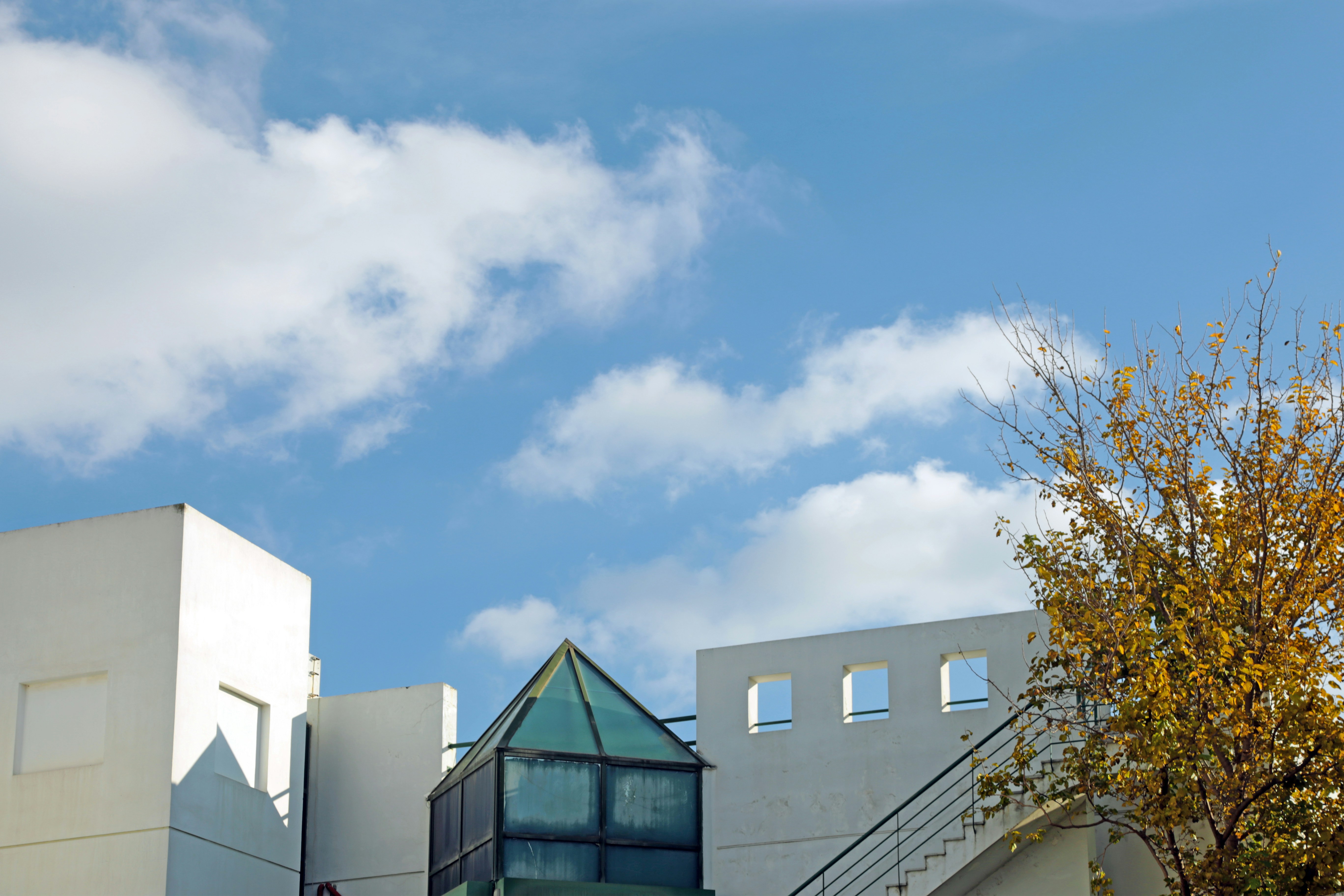 Photo by alikisthemelion