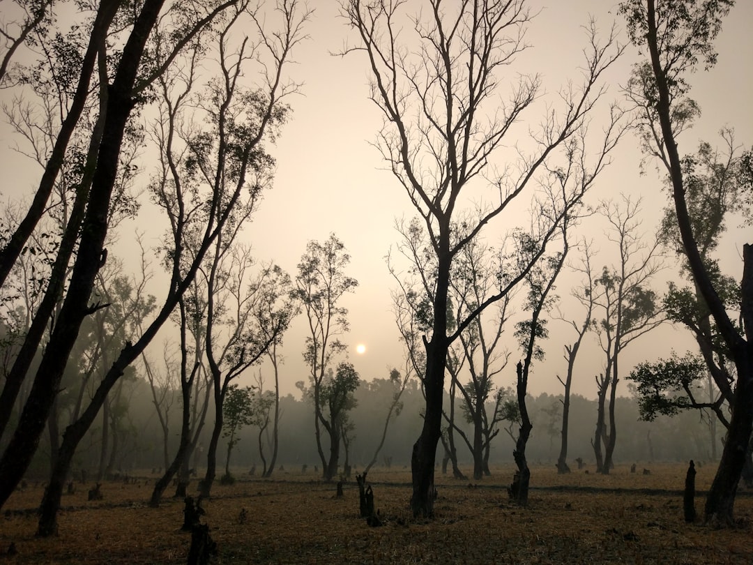 Ecoregion photo spot Nijhum Dwip Bangladesh