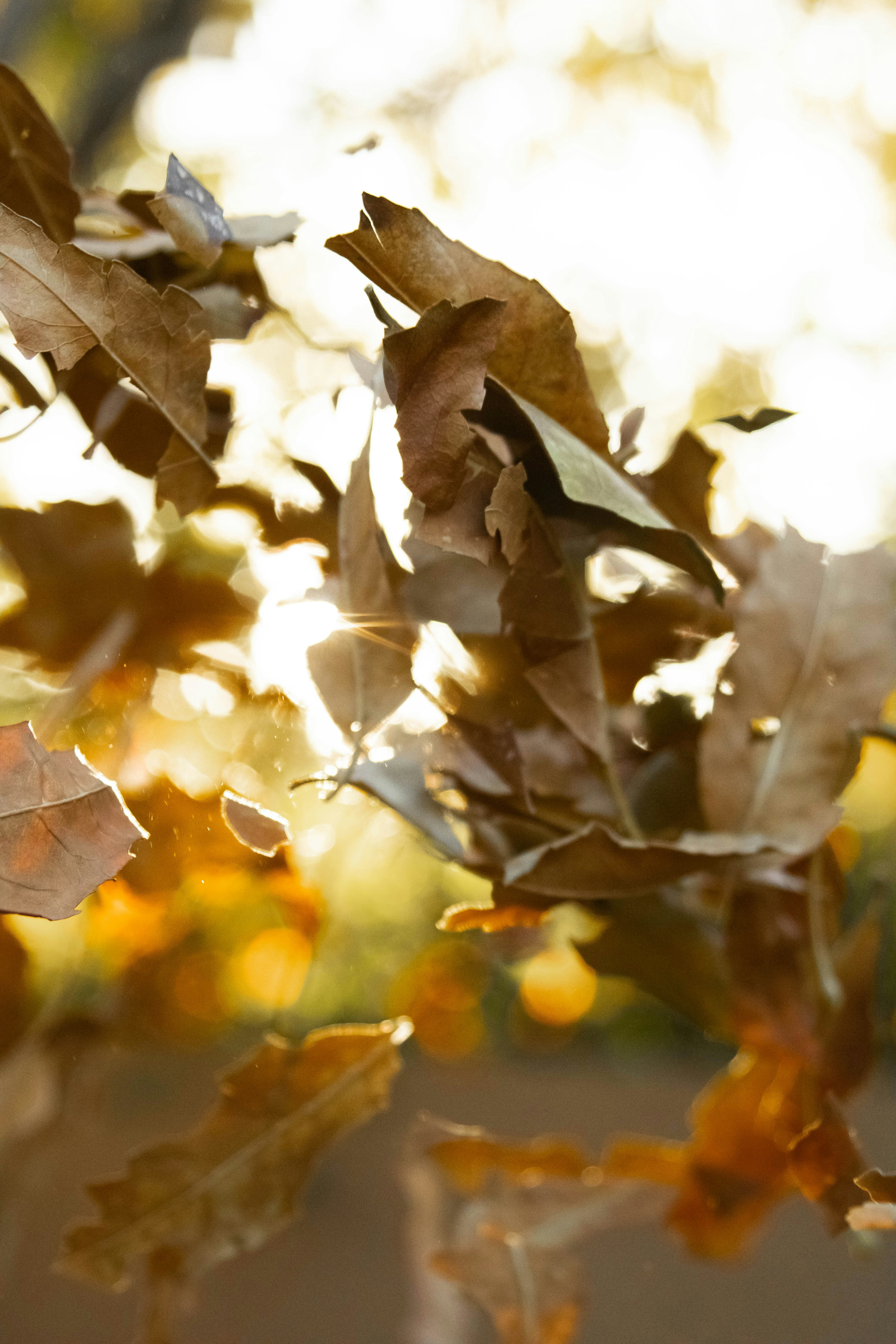 Photo by jeffersonsees