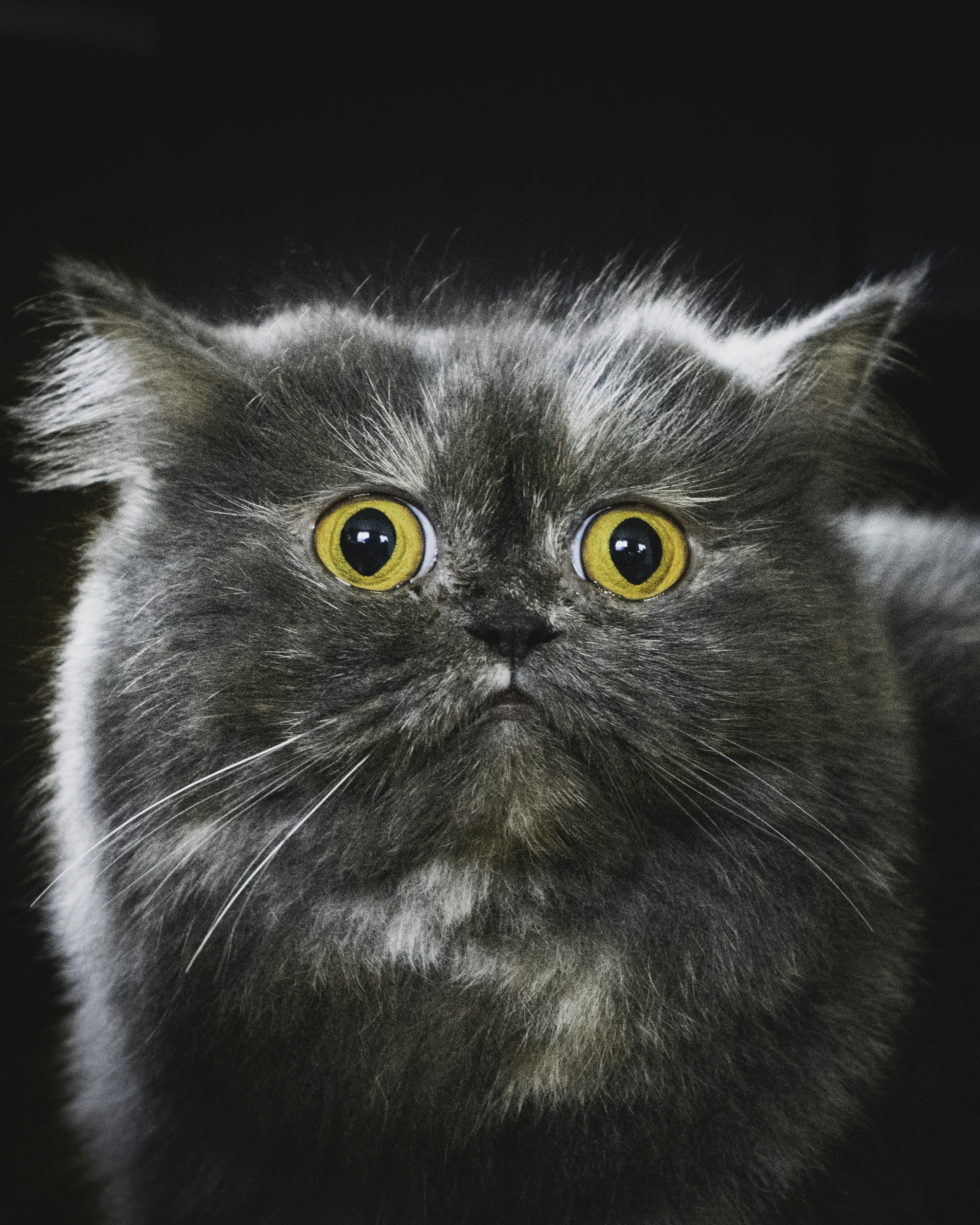 Photo by nika tchokhonelidze on Unsplash