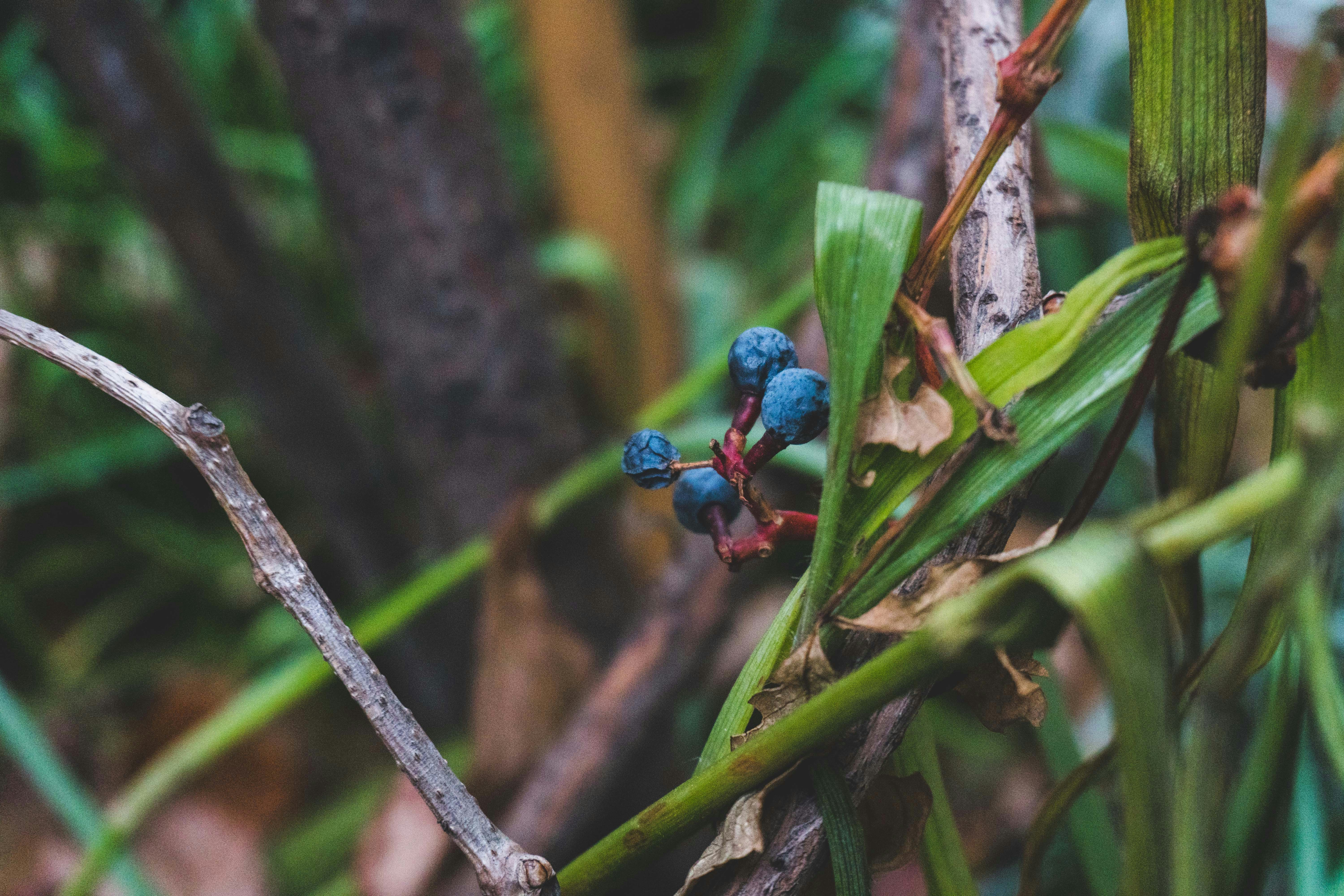 Photo by anetakpawlik