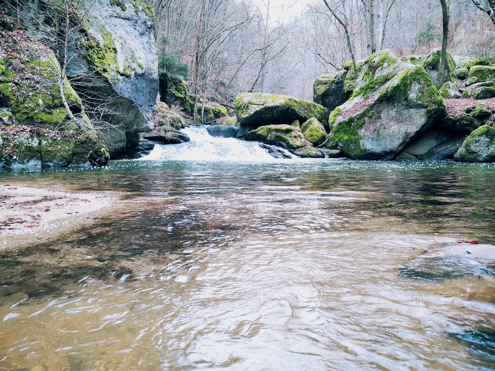 rio entre rochas verdes e marrons