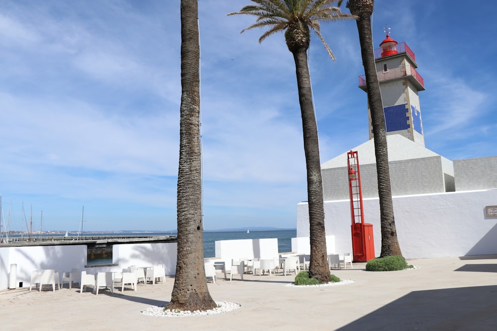 palm tree near white and red building during daytime