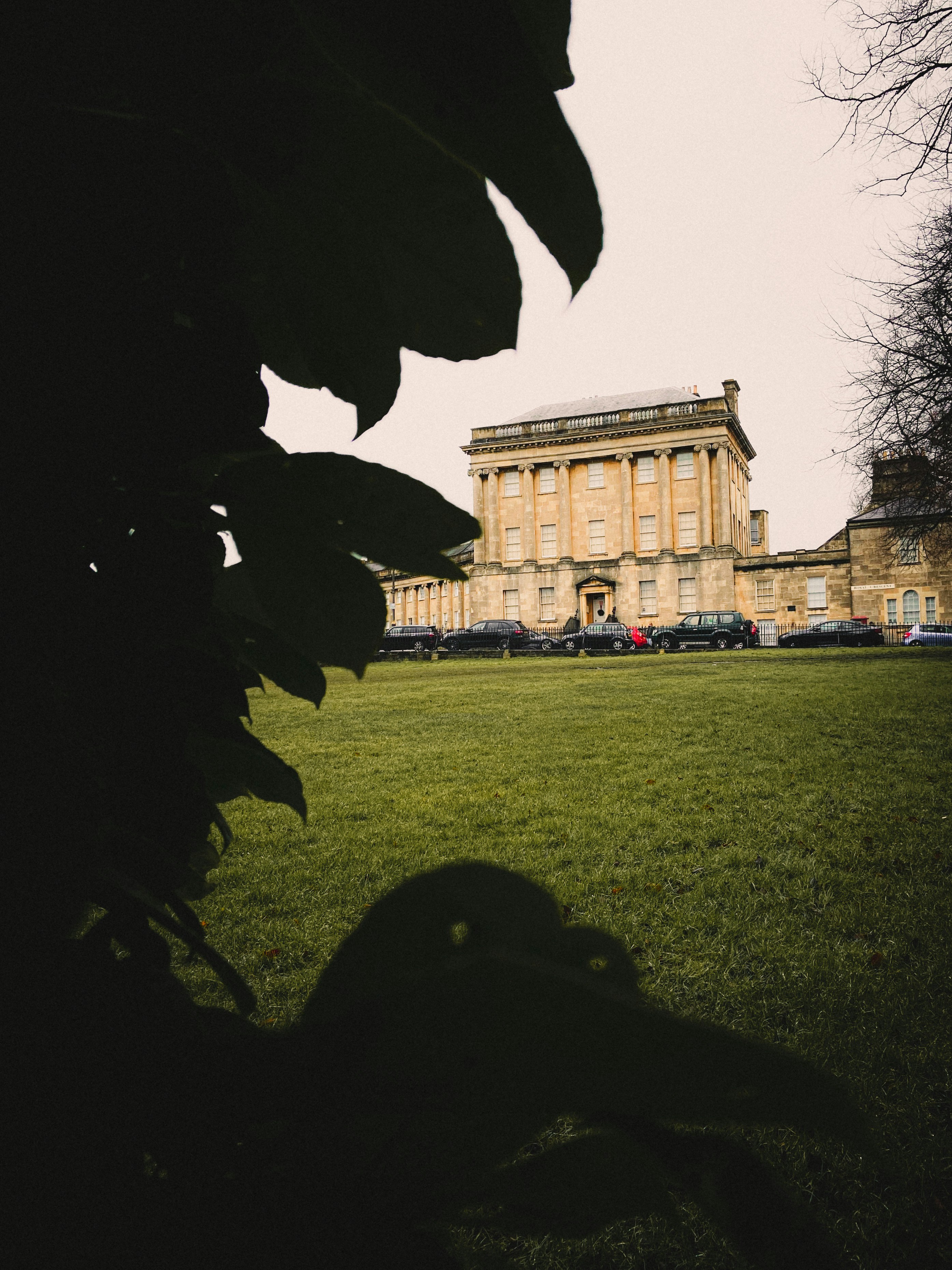 Photo by hamishkale_