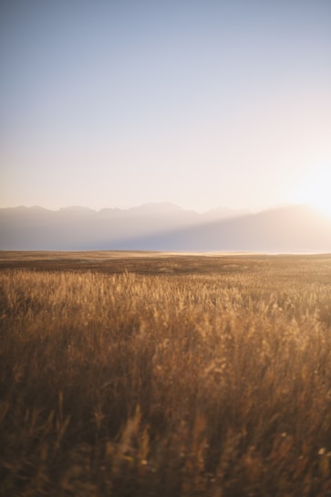 brown grass field near mountain during daytime