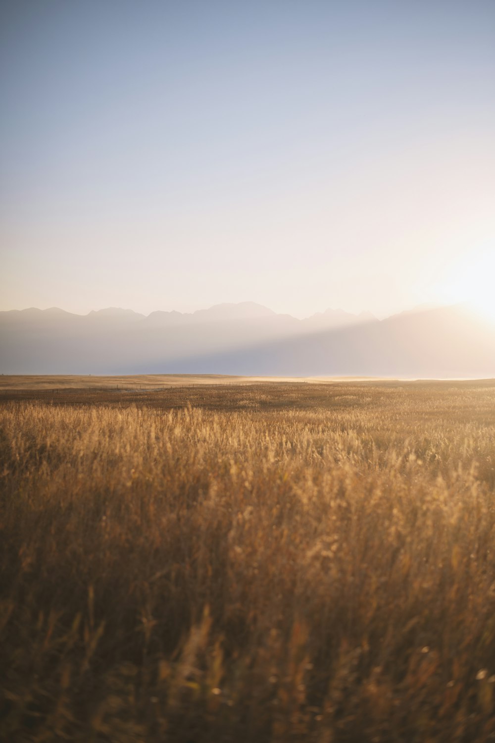 brown grass field near mountain during daytime