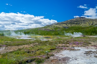 green grass field under blue sky during daytime