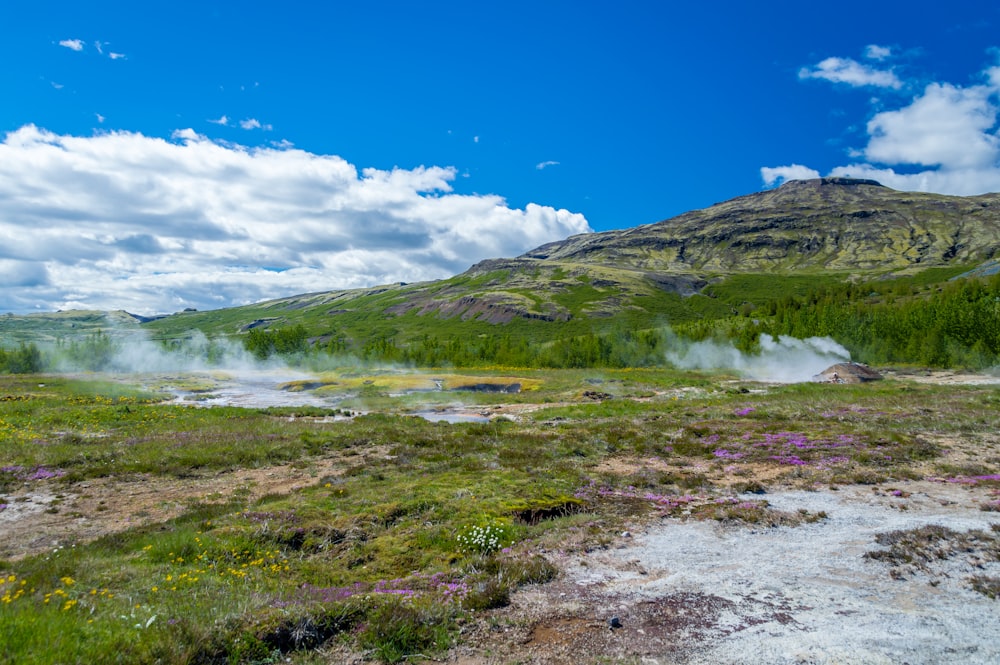 Campo de hierba verde bajo el cielo azul durante el día