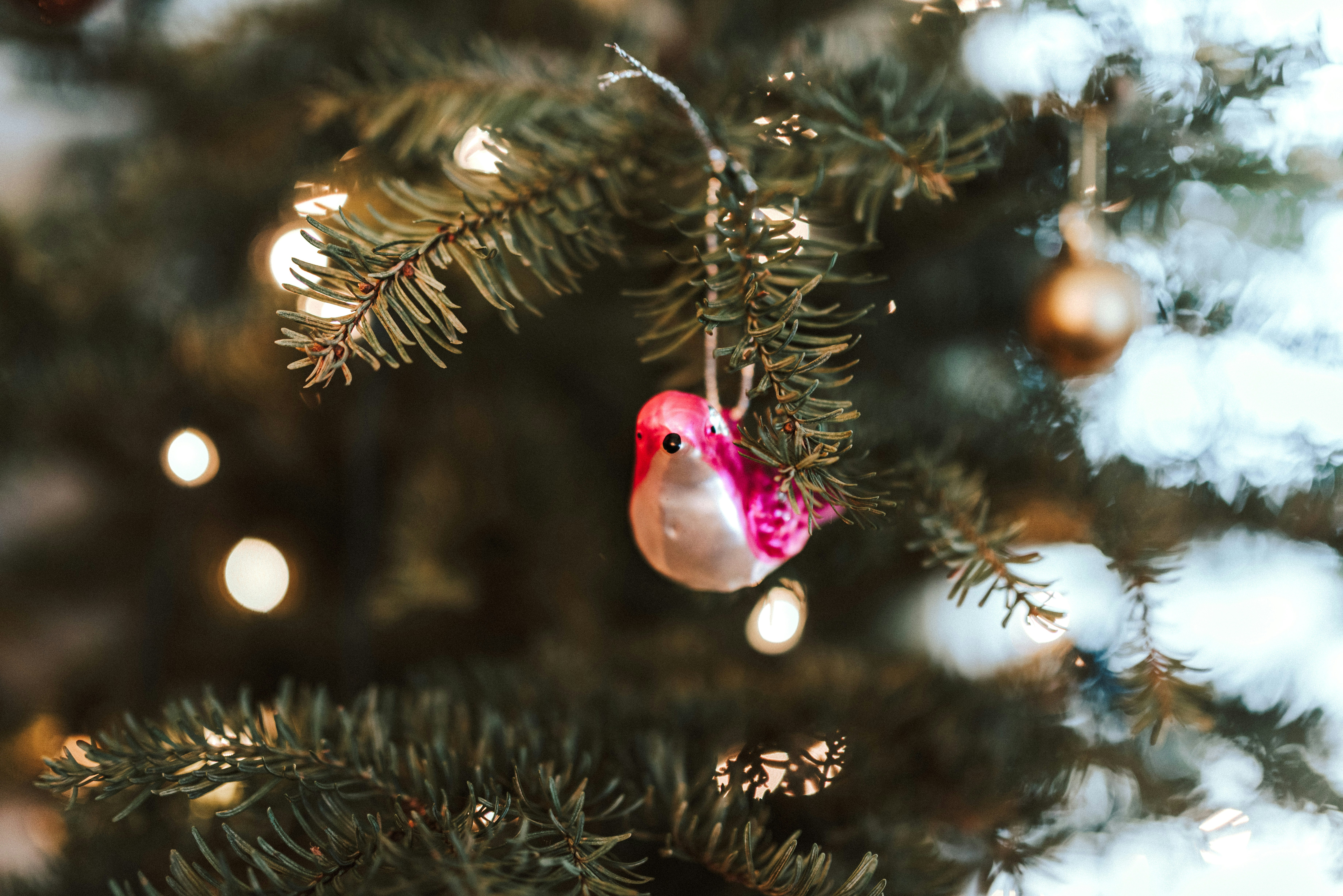 Photo by seitamaaphotography