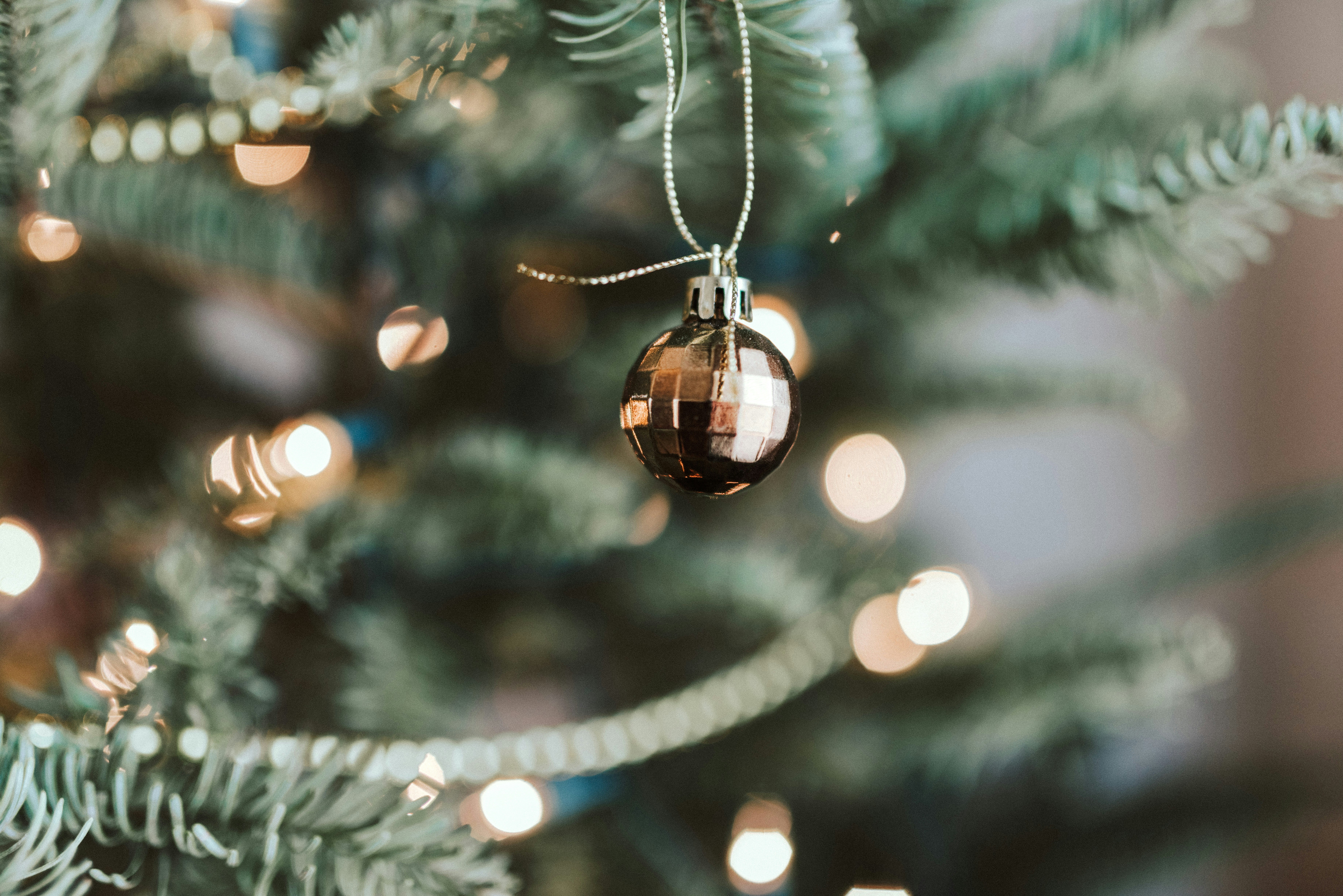 Photo by seitamaaphotography