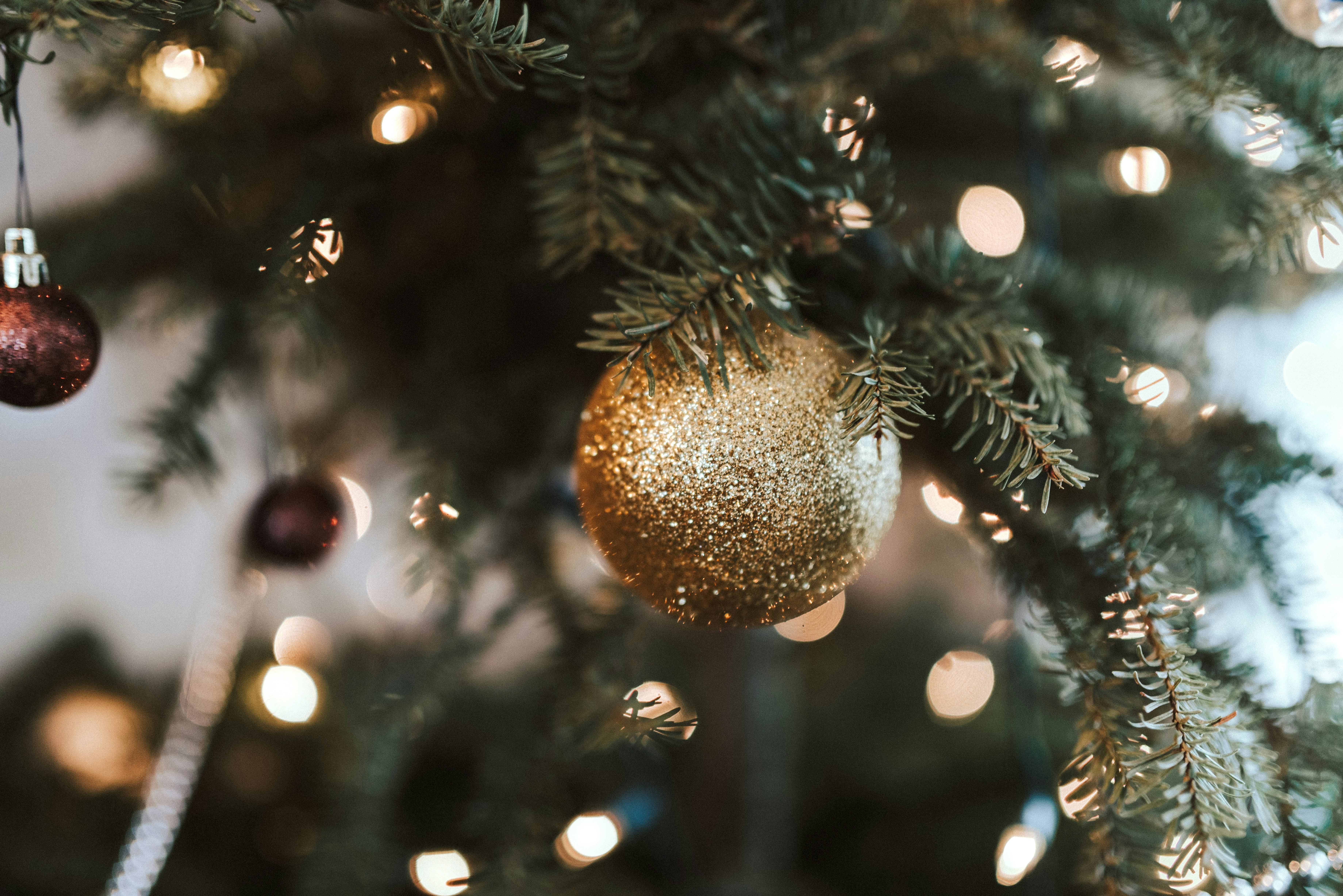 Photo by seitamaaphotography