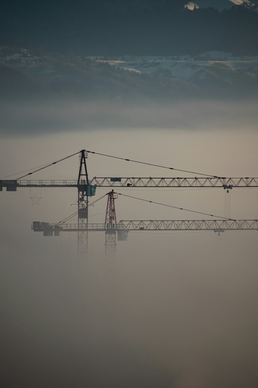 black crane under white sky