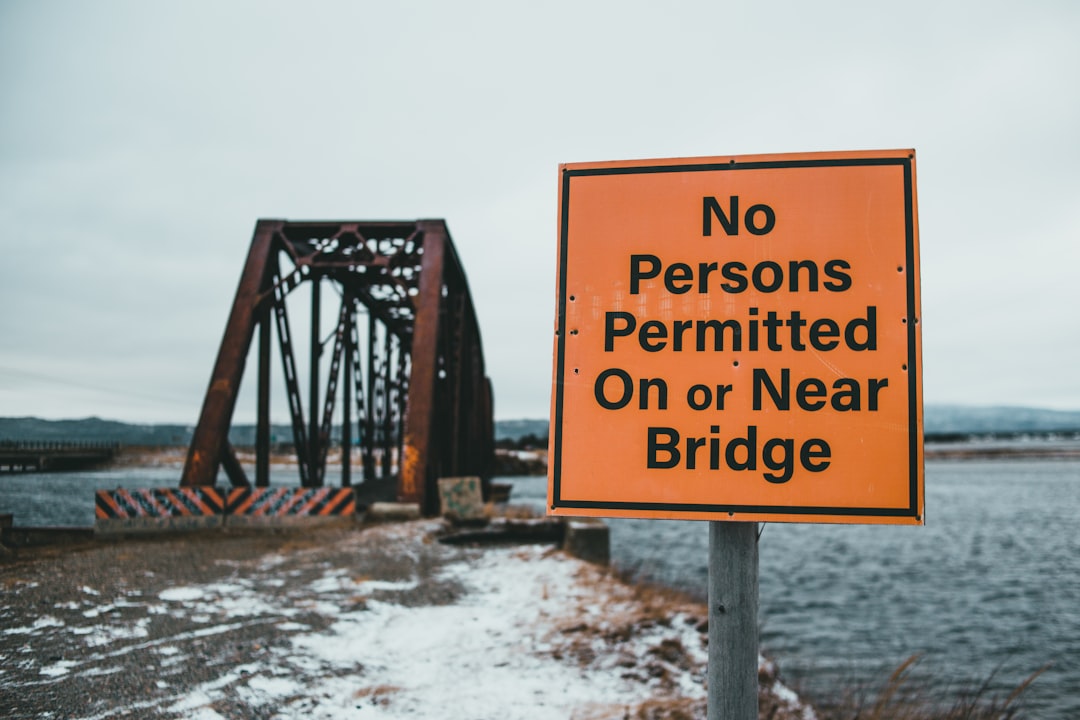 brown wooden bridge over river during daytime