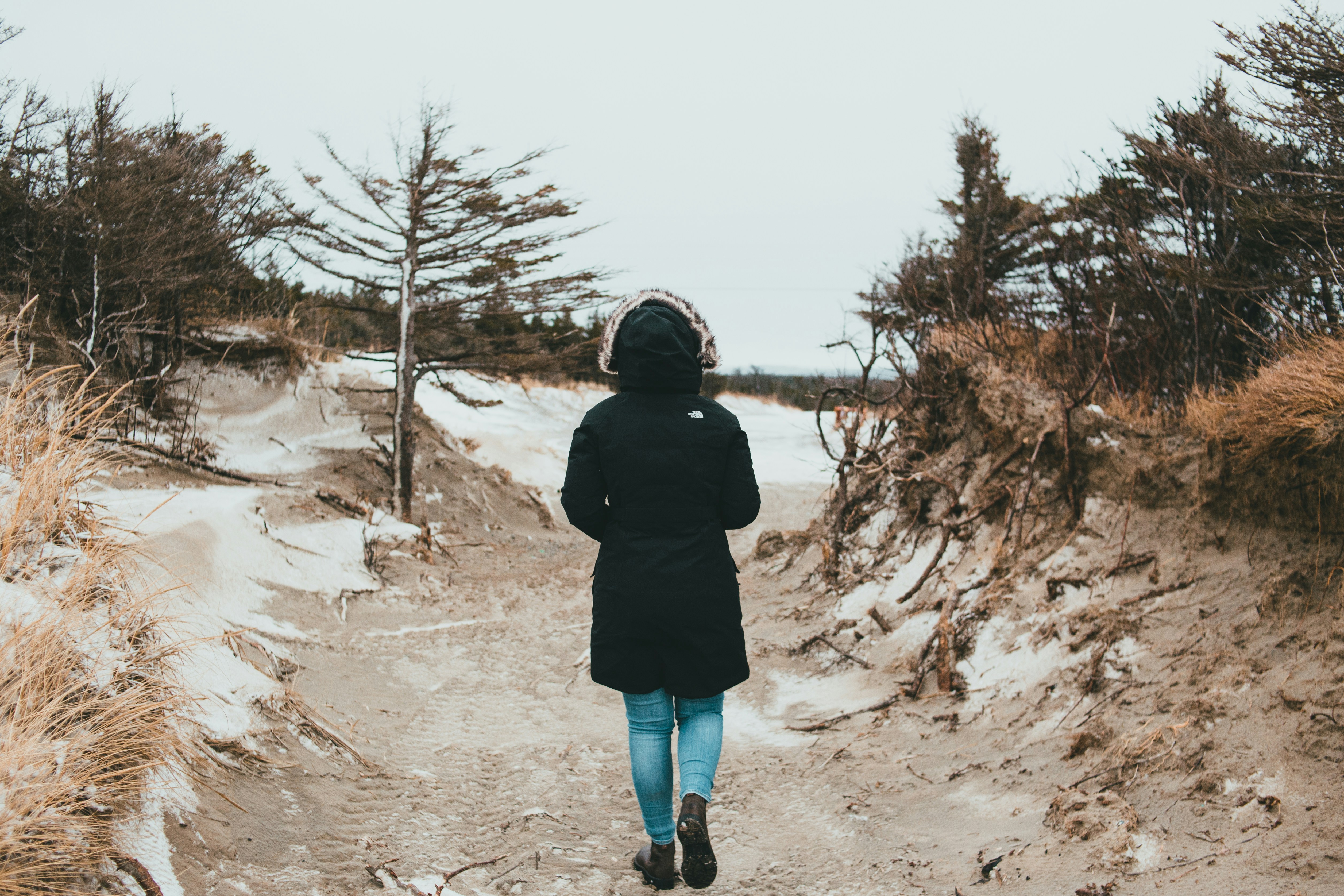 Photo by introspectivedsgn