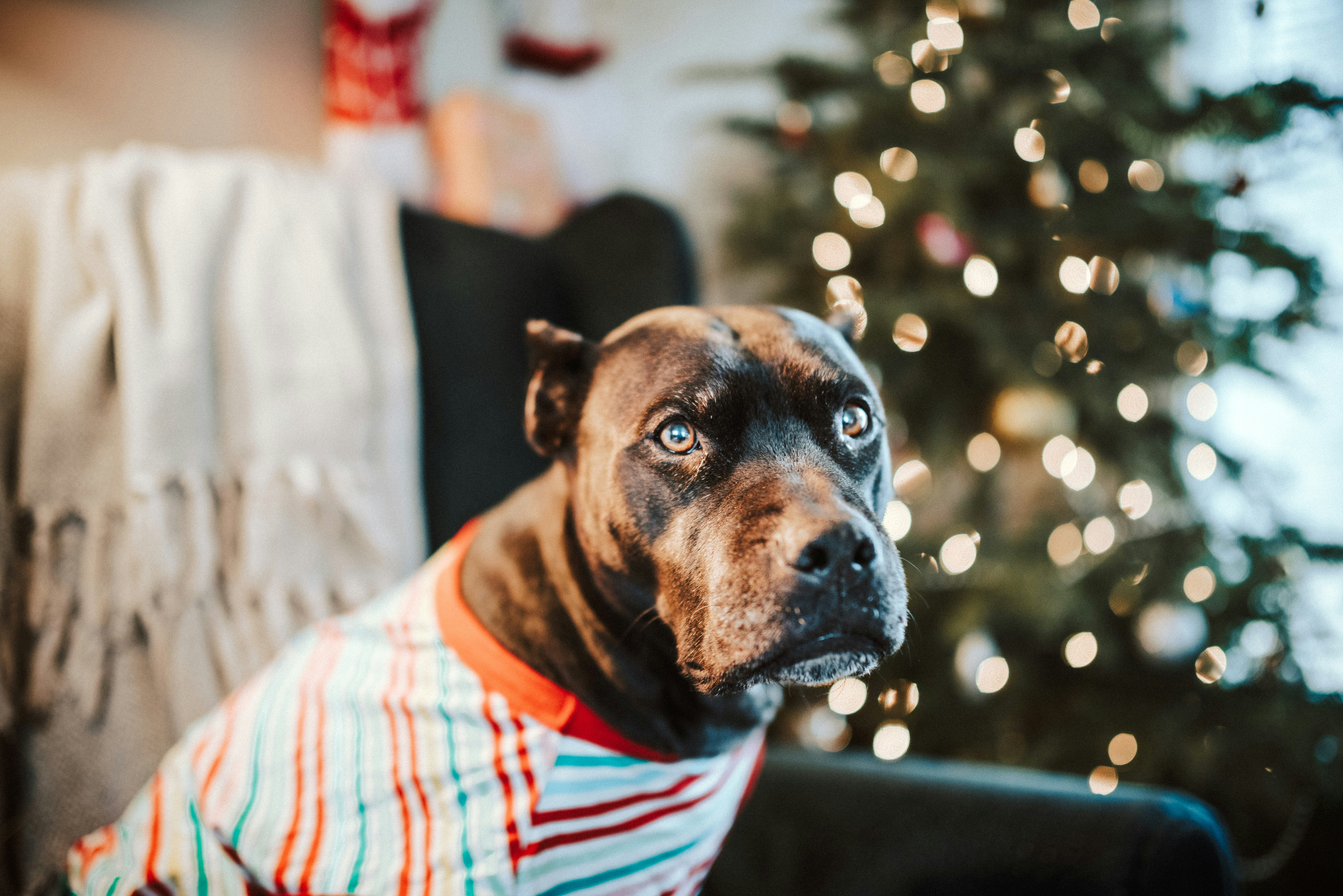 Photo by seitamaaphotography