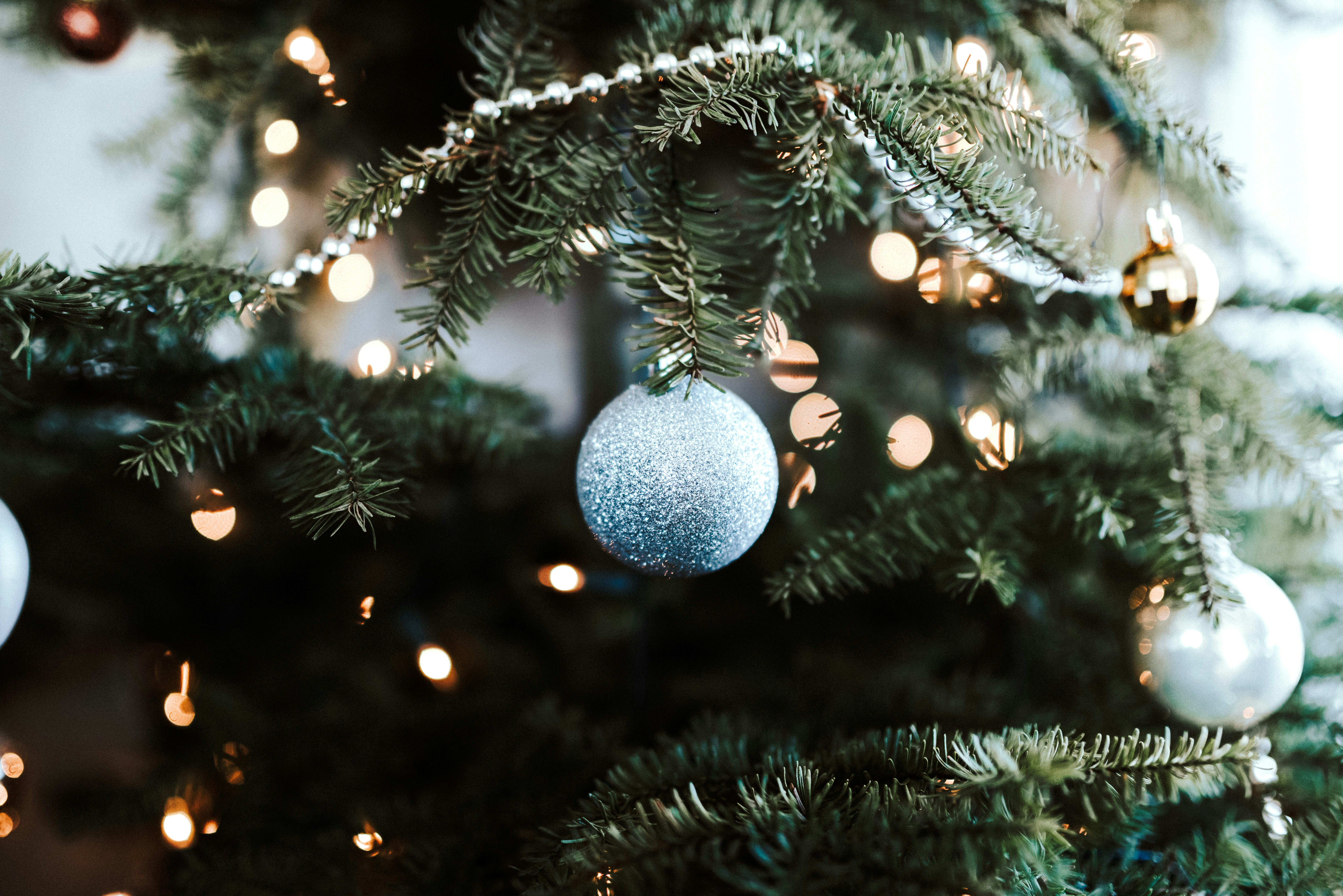 Photo by seitamaaphotography