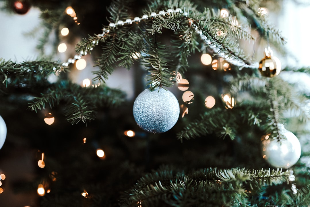 silver bauble on green christmas tree