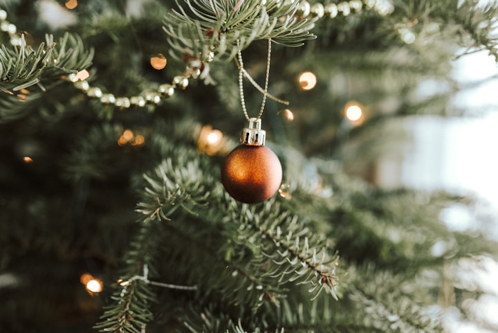 The Great Christmas Tree Debate: Is a Real or an Artificial Tree Better for the Environment?