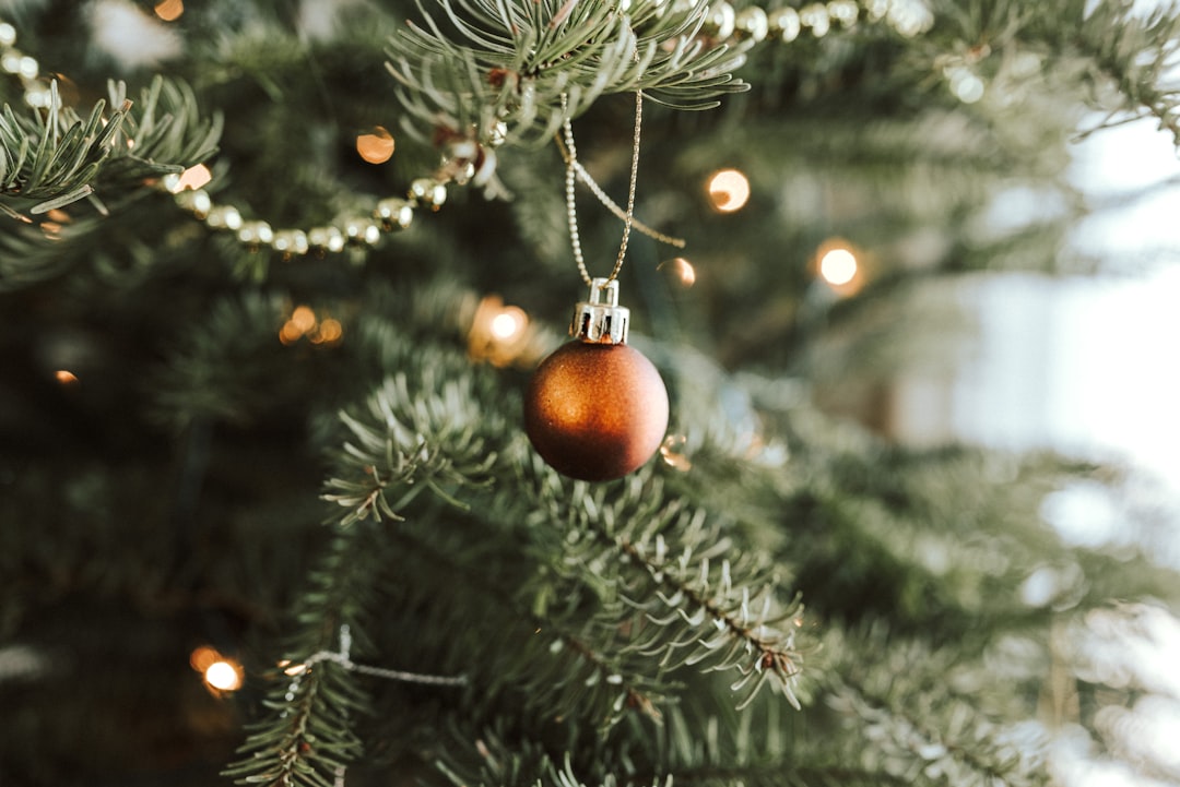 red bauble on green christmas tree,