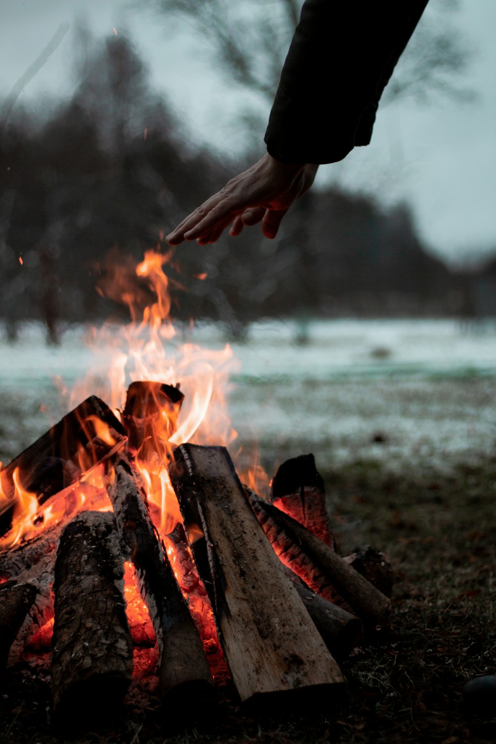 burning wood on shore during daytime