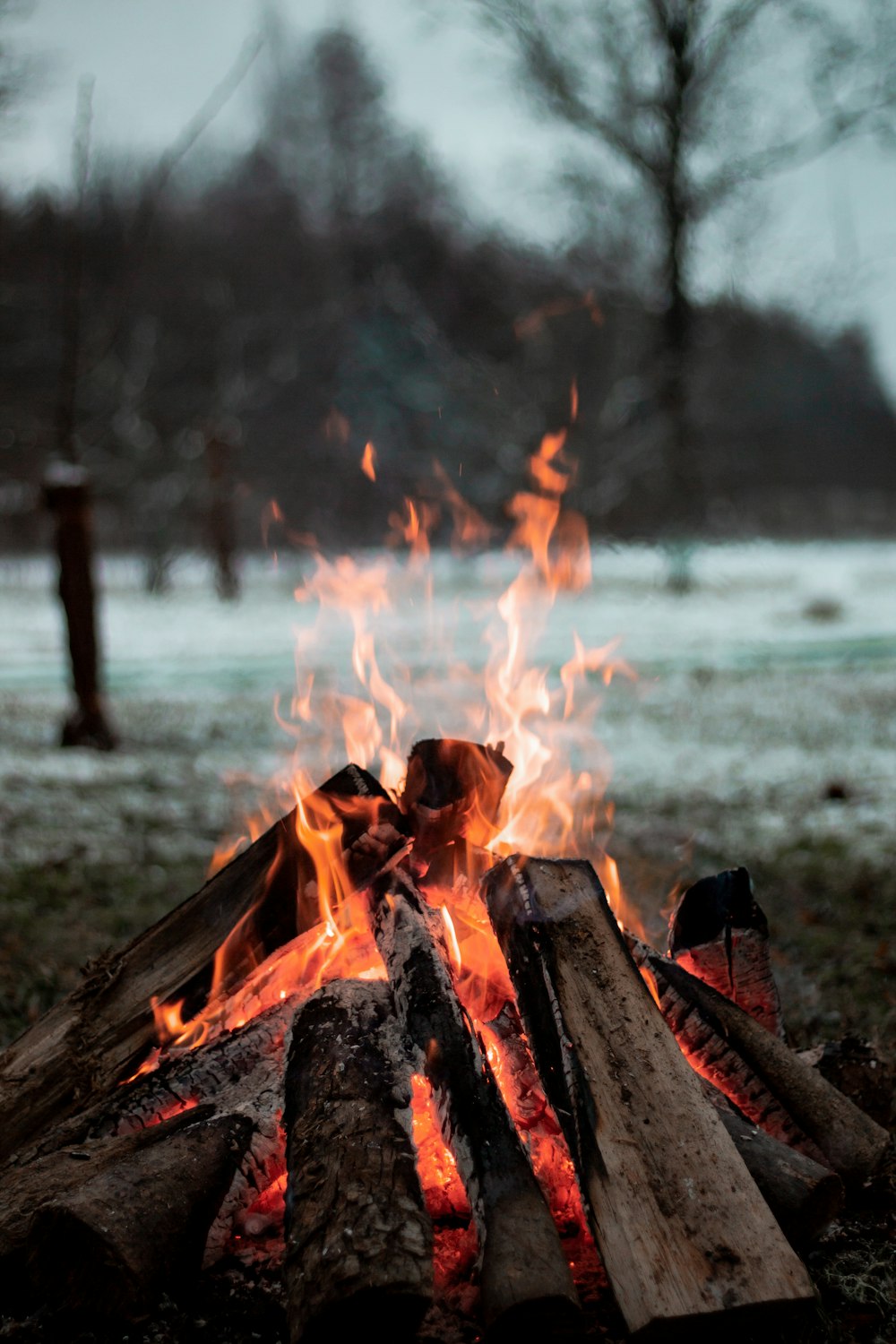 burning wood on fire pit