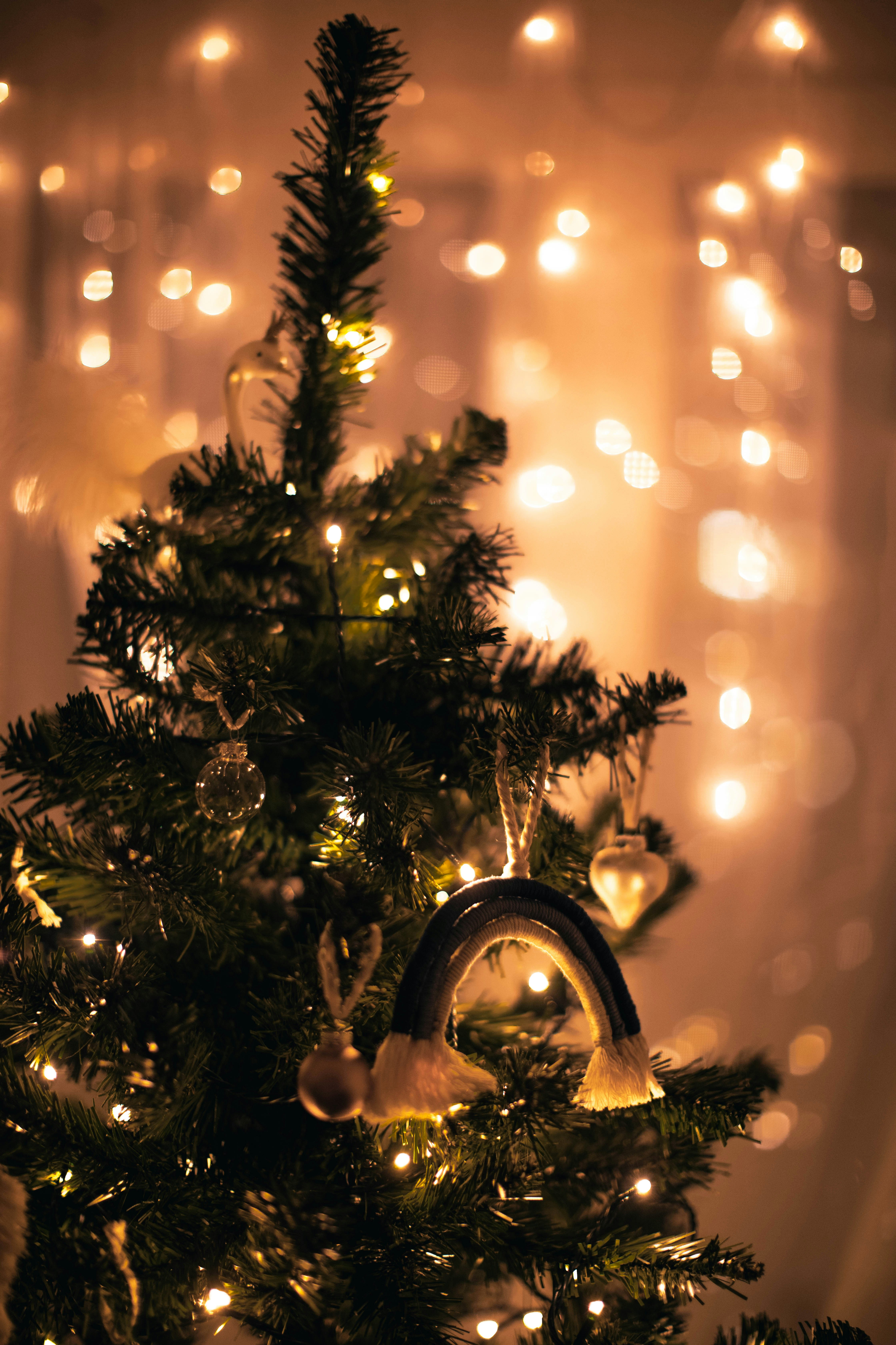 Photo by nina_mercado