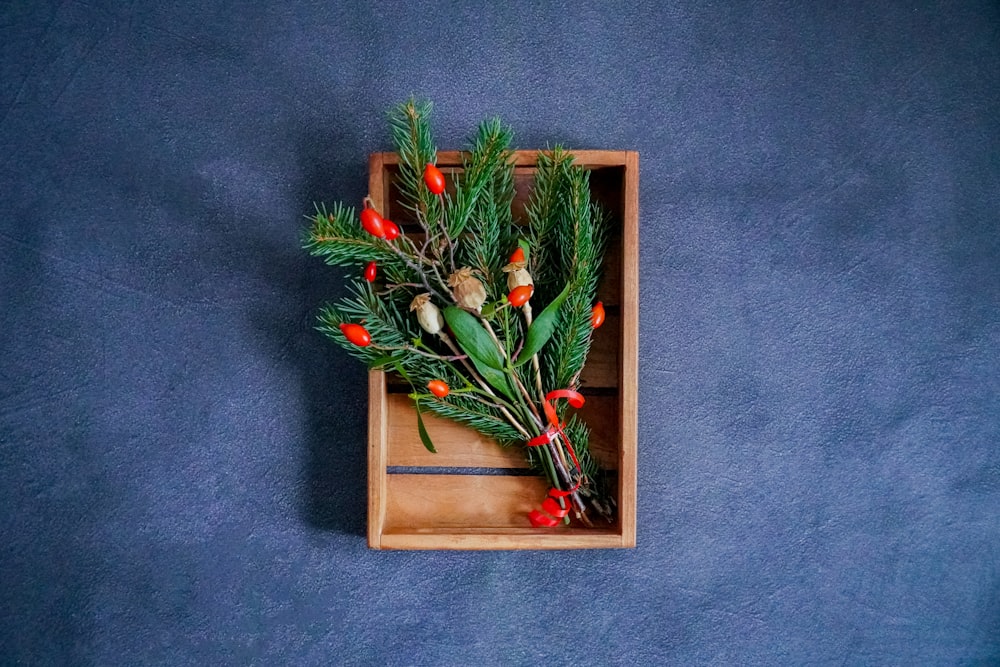 green and red plant on brown wooden frame