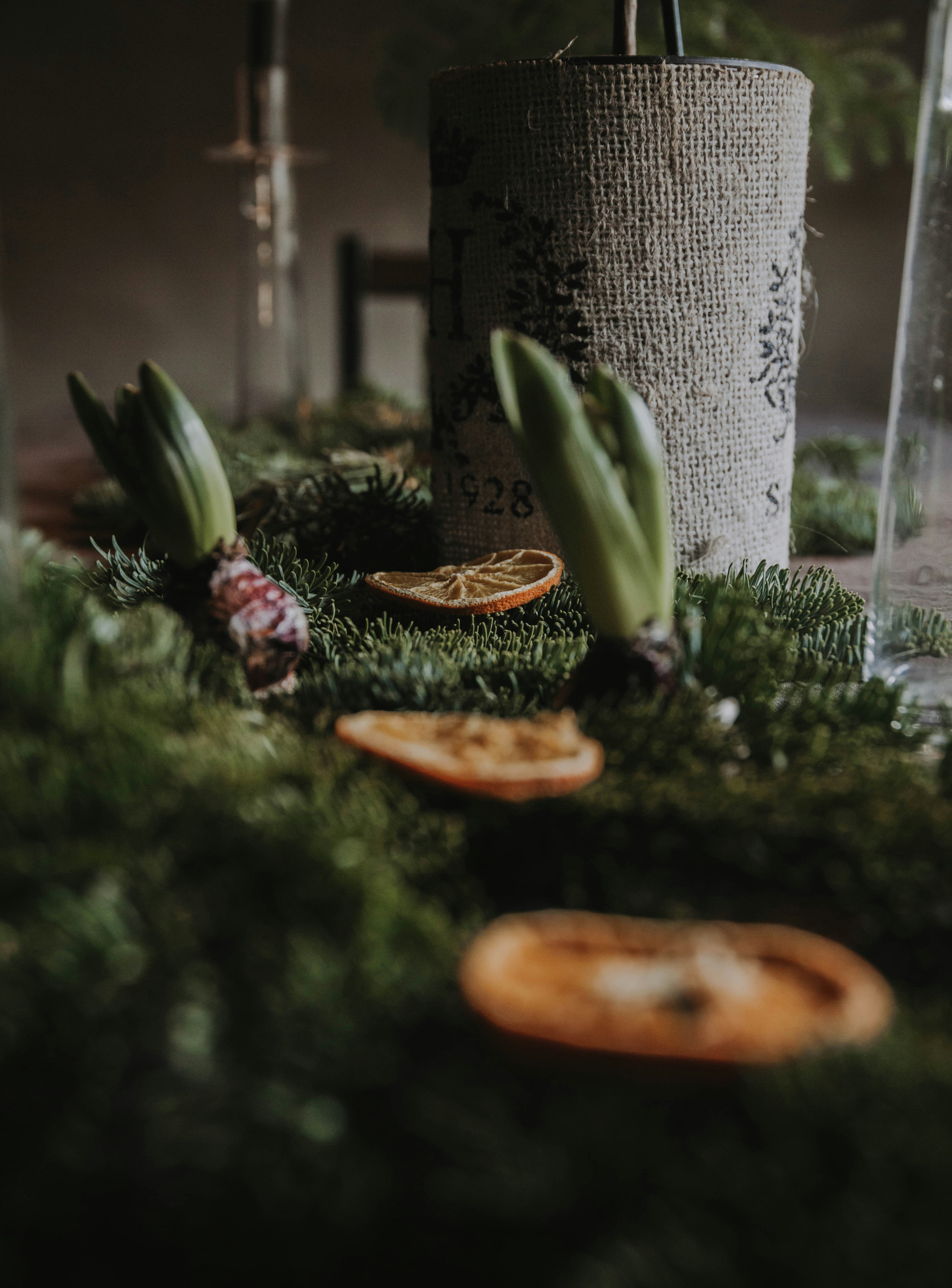 brown round plate on green plant
