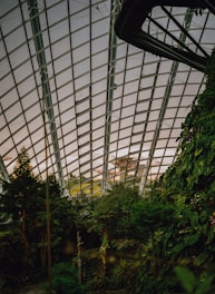 green trees inside a building