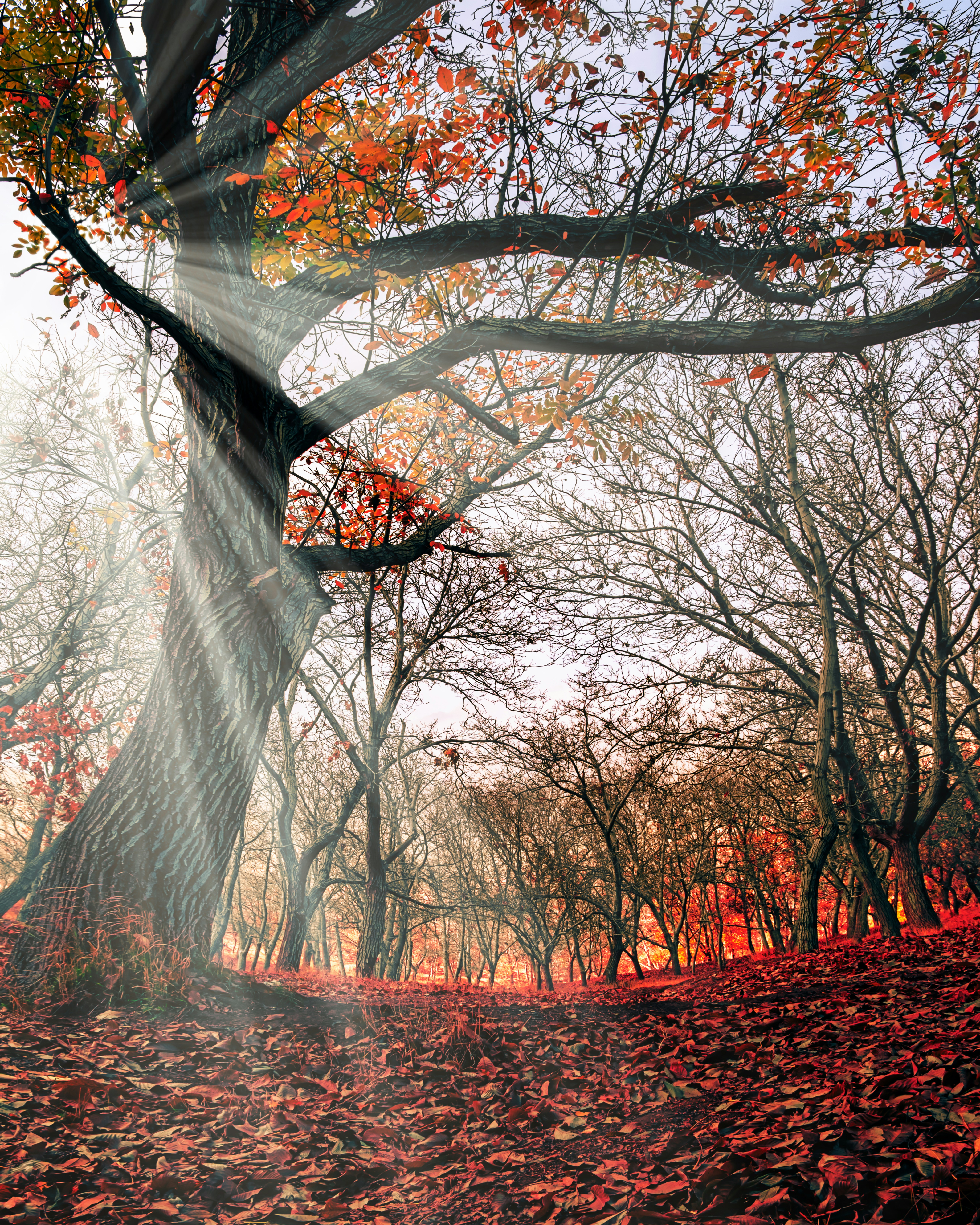 Adventuring through the Canadian Rockies